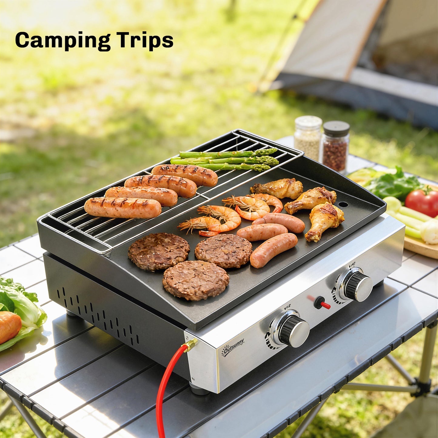 2 Burner Grill Griddle, Portable Gas Plancha with Warming Rack, 5 kW