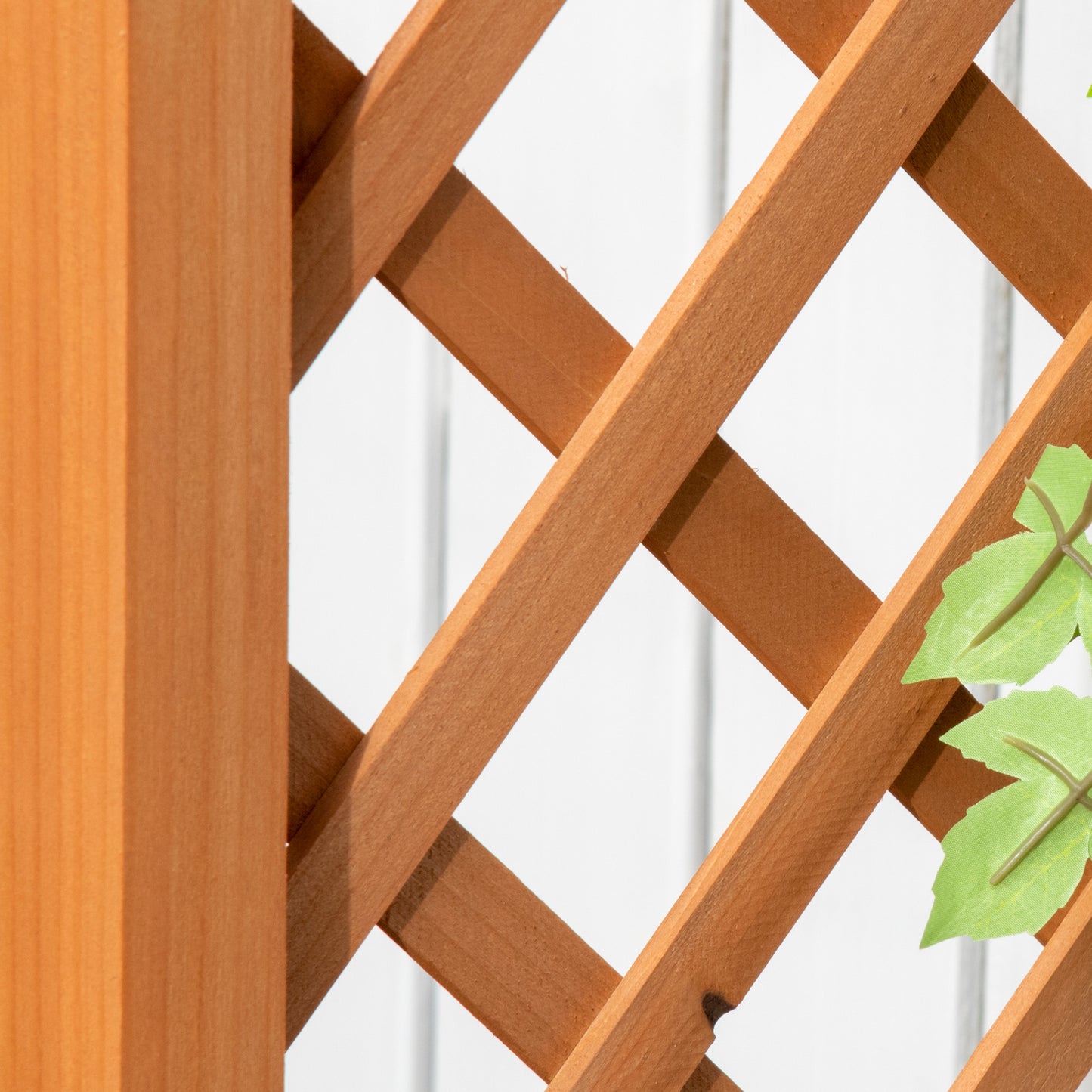Raised Garden Bed with Arch Trellis