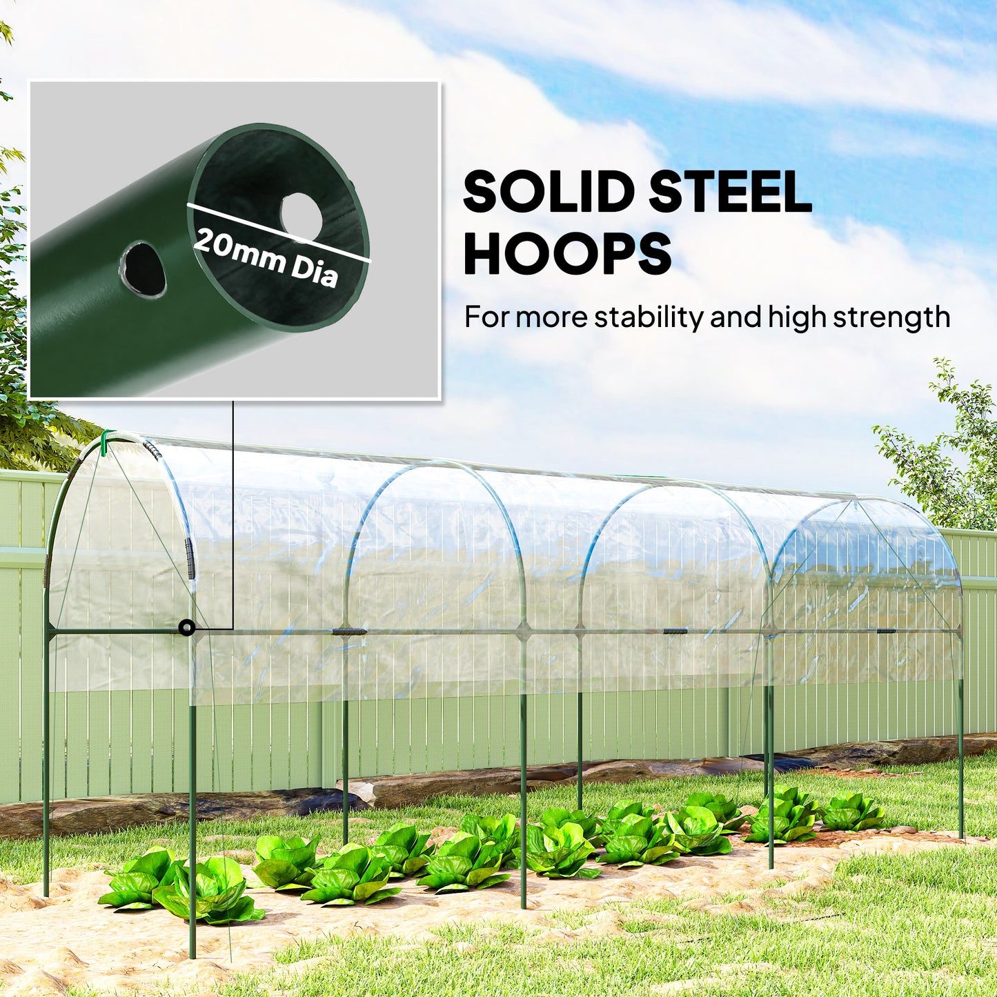 Tunnel Tomato Greenhouse with 4 Hoops and Top Tap