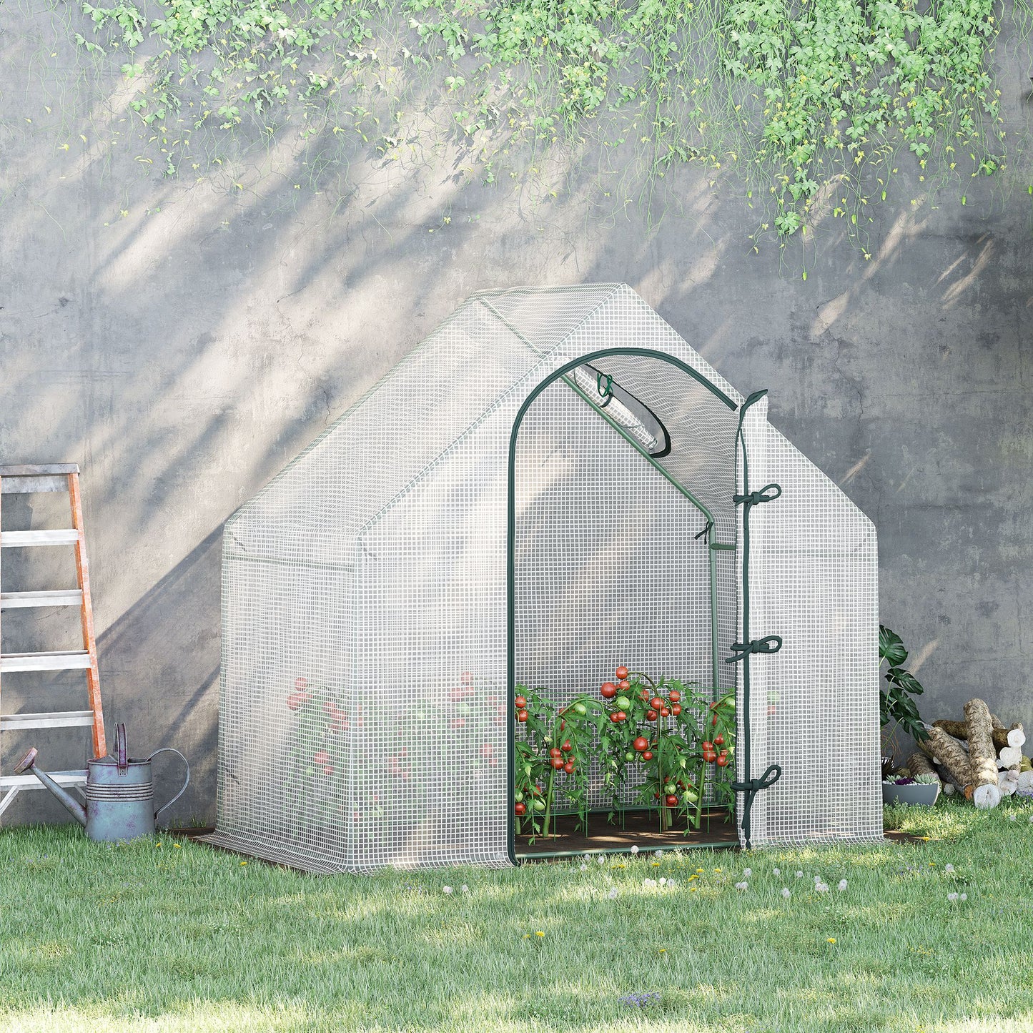 Walk In Tomato Greenhouse Garden Outdoor Mini Greenhouse Flower
