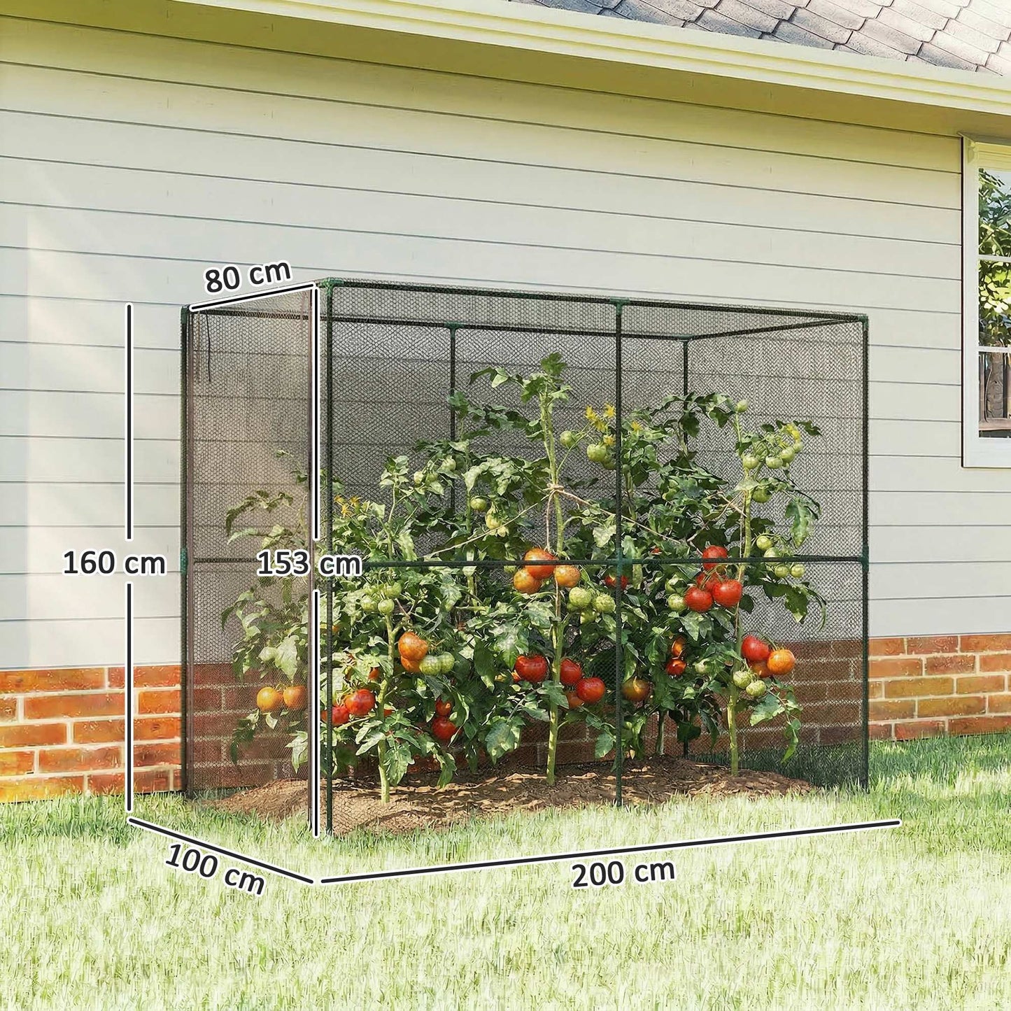 Fruit Cage Bird Netting, Brassica Cage Plant Protection Tent