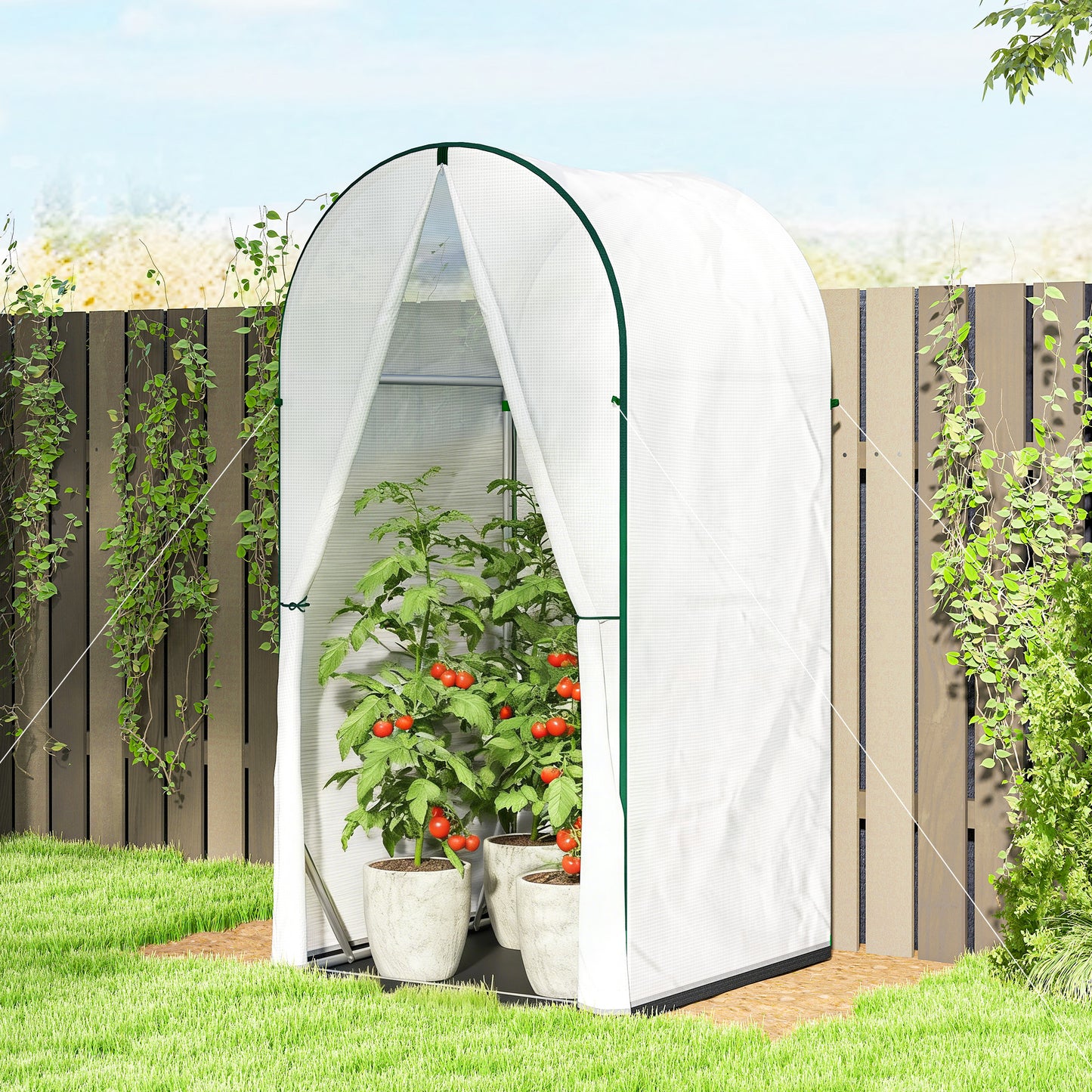 Mini Greenhouse, Portable Green House with Roll-Up Door, PE Base