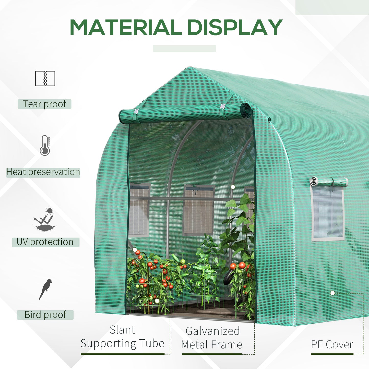 Polytunnel Greenhouse with Windows and Door