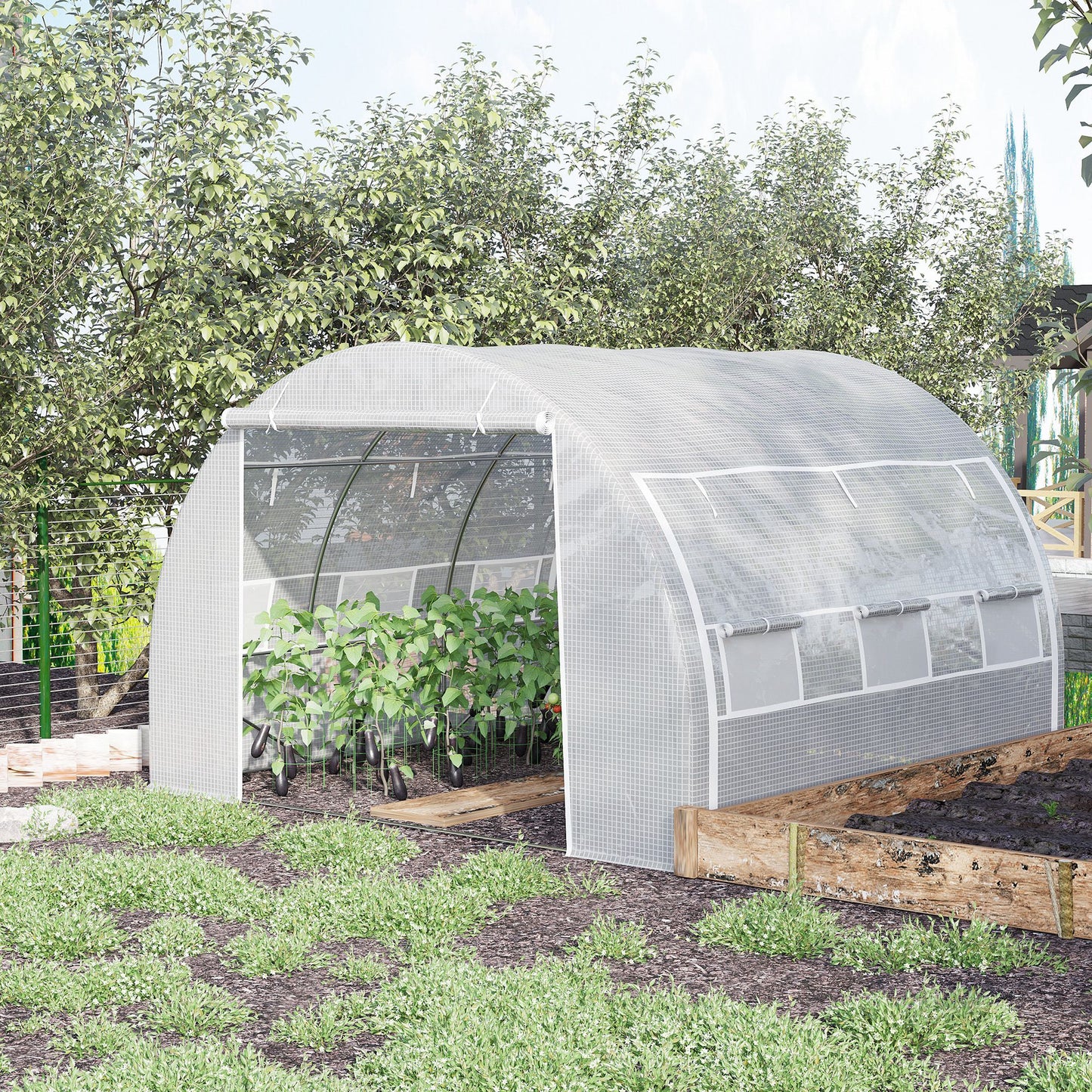3 x 3 x 2 m Polytunnel Greenhouse with Roll-up Side Walls