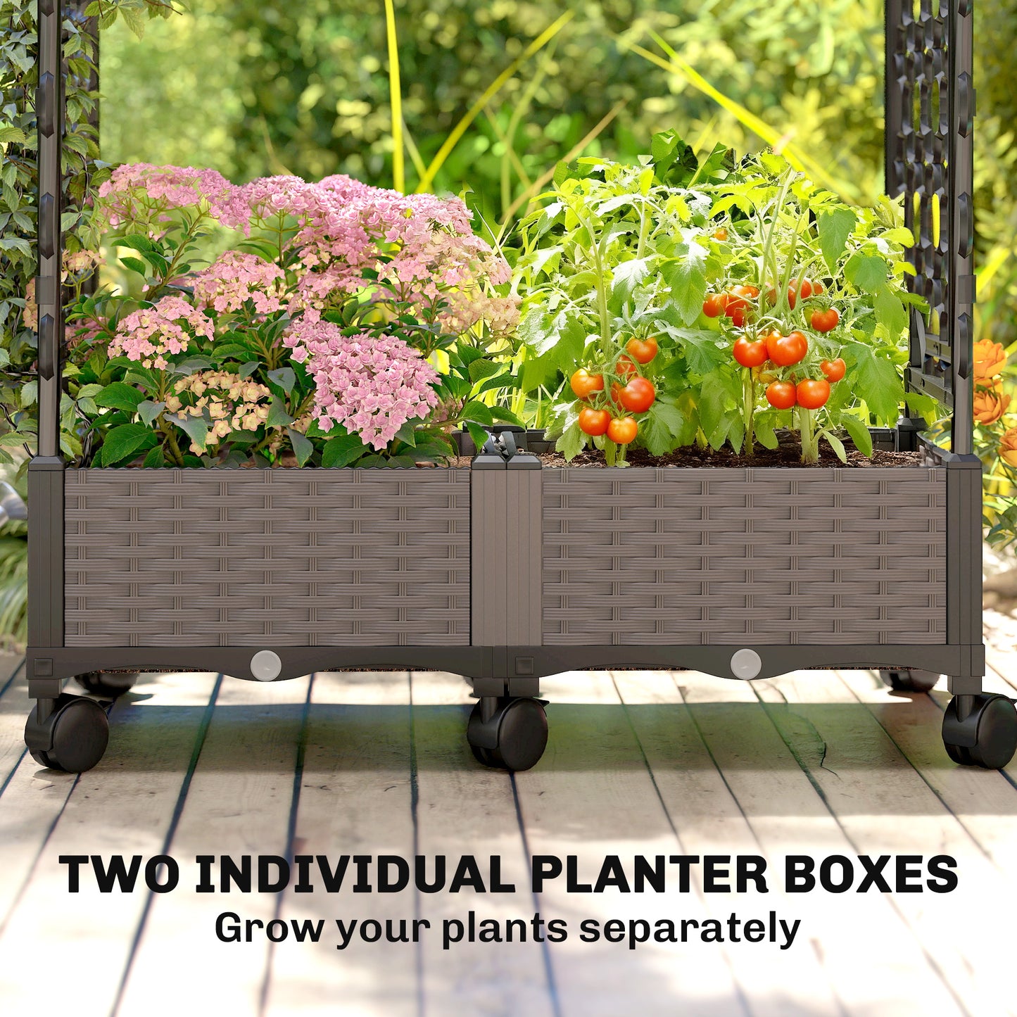 Raised Garden Bed with Arch Trellis (1)