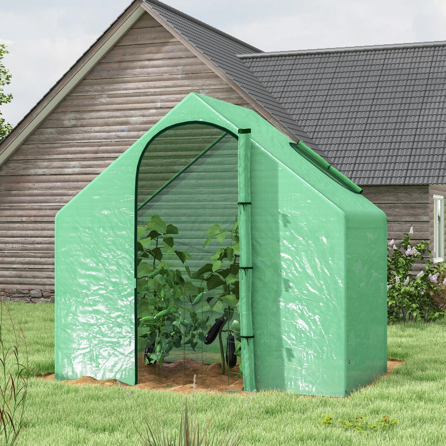Walk In Tomato Greenhouse Garden Outdoor Mini Greenhouse Flower
