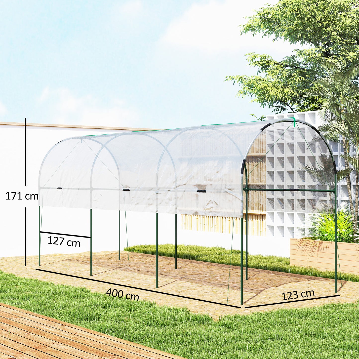 Tunnel Tomato Greenhouse with 4 Hoops and Top Tap
