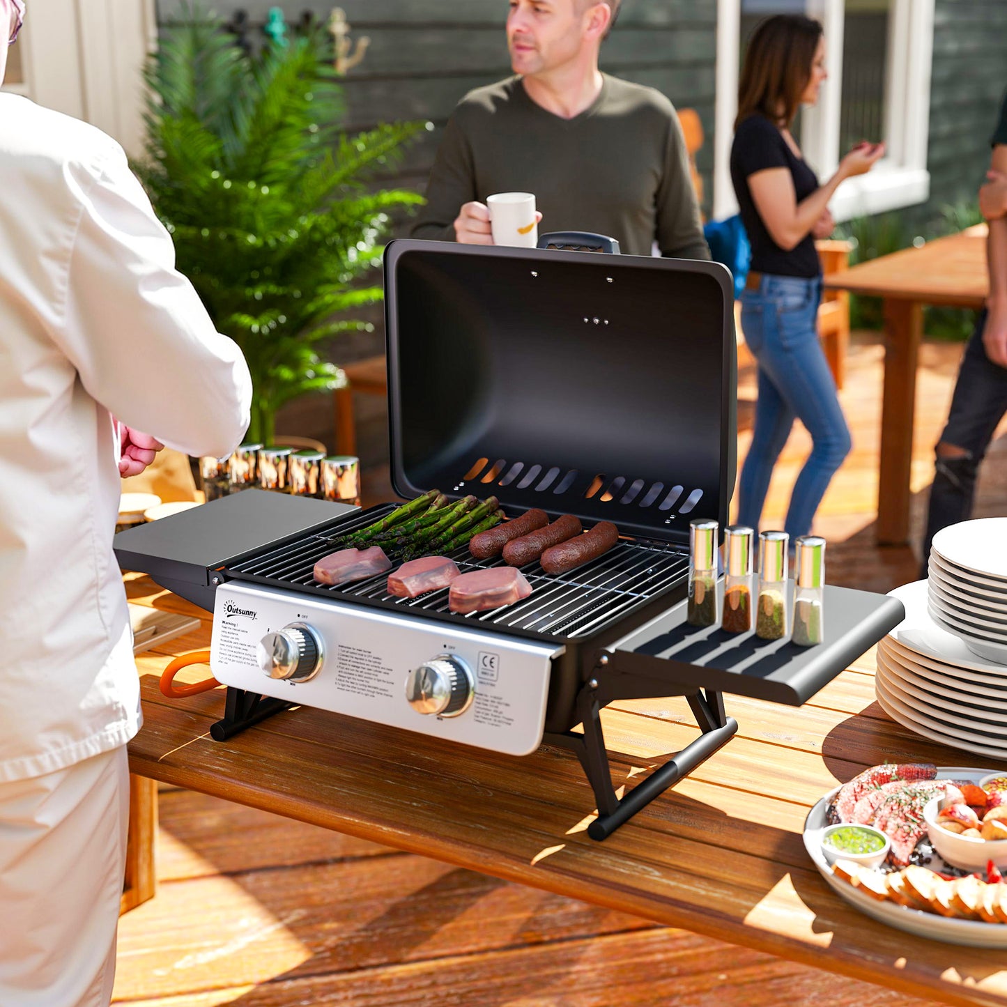 Two-Burner Compact Gas Grill