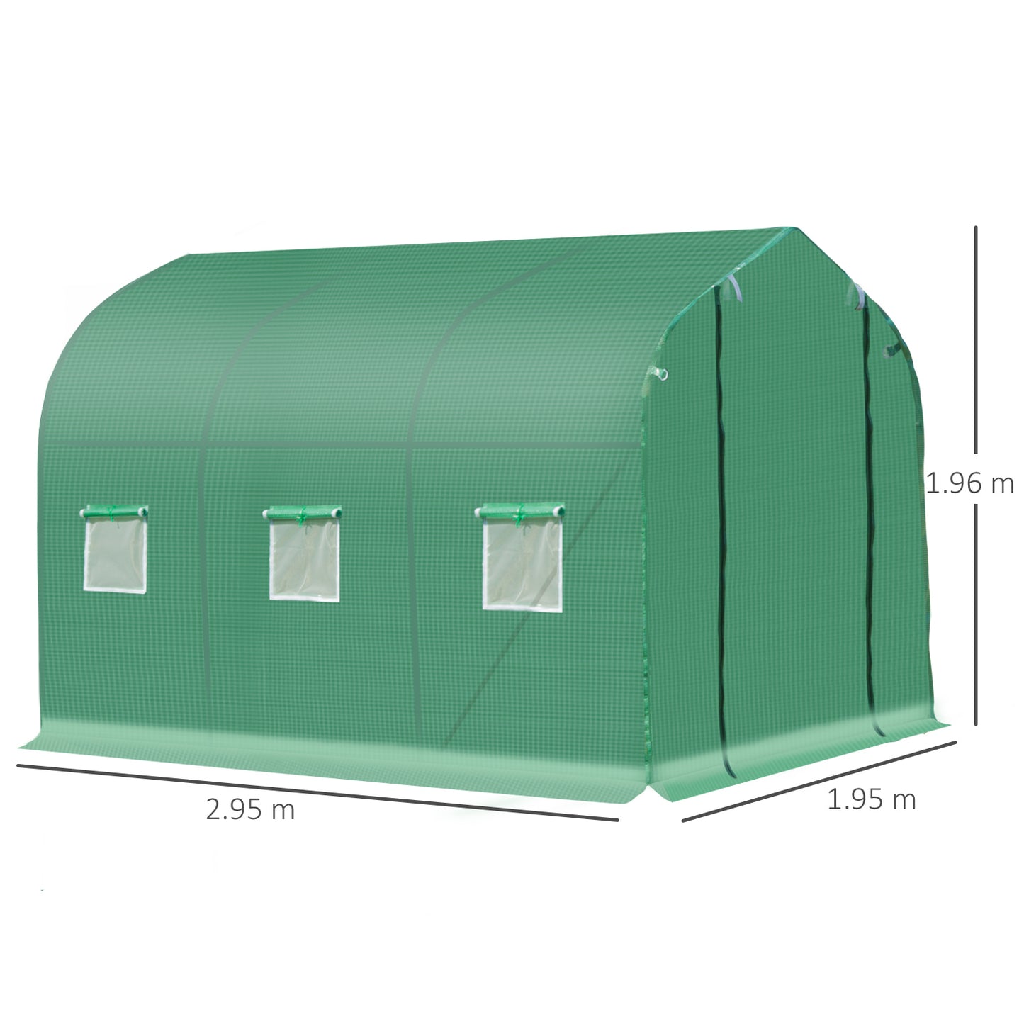 Polytunnel Greenhouse with Windows and Door (2)