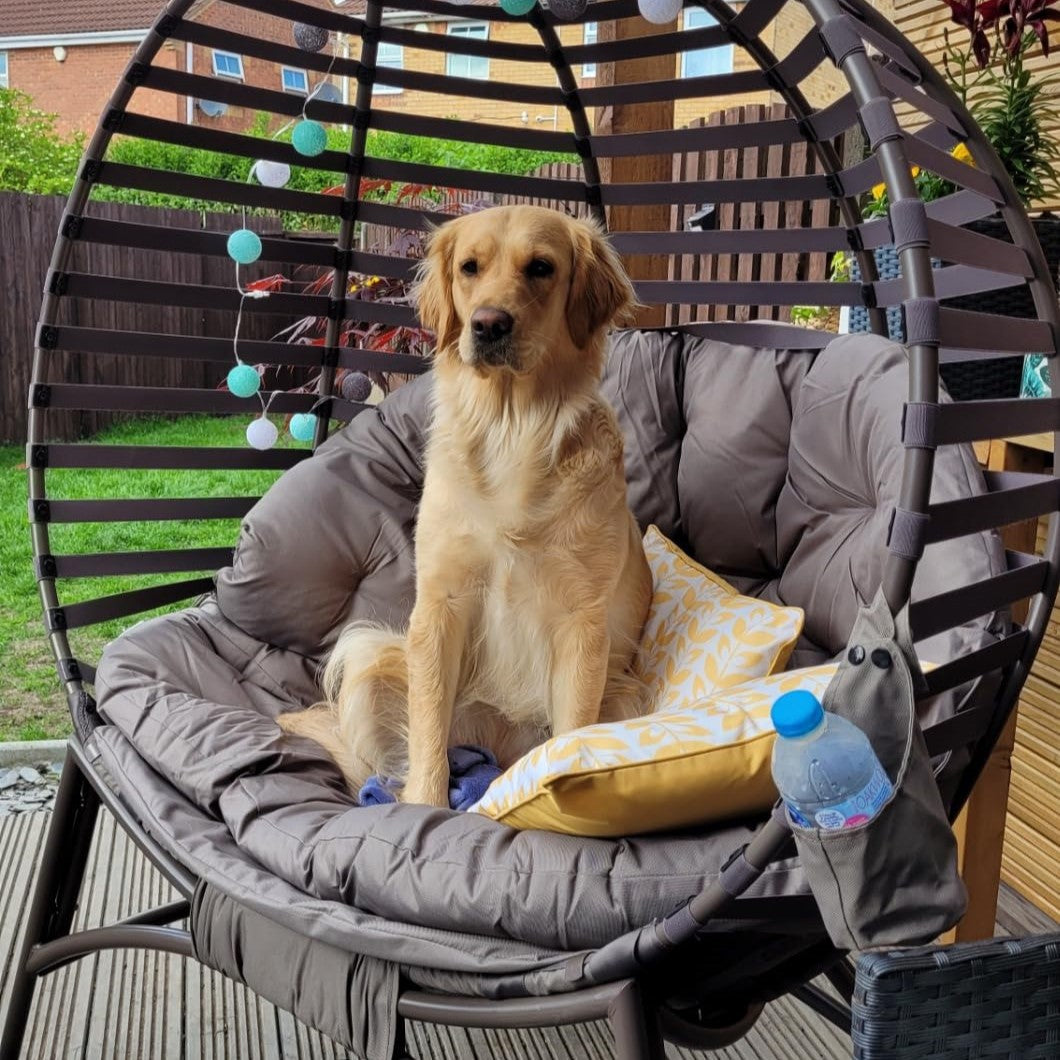 Egg Chair with Cushion & Side Pocket