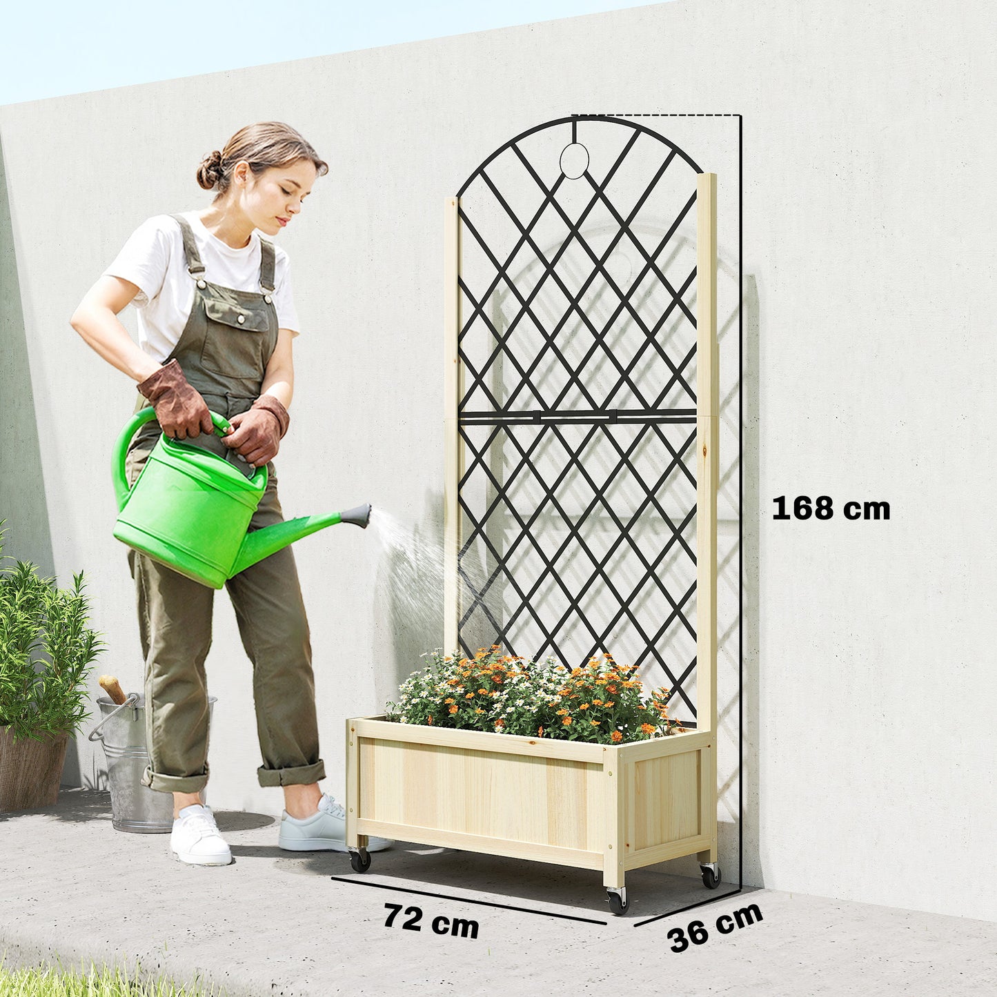 Raised Garden Bed with Metal Trellis (1)