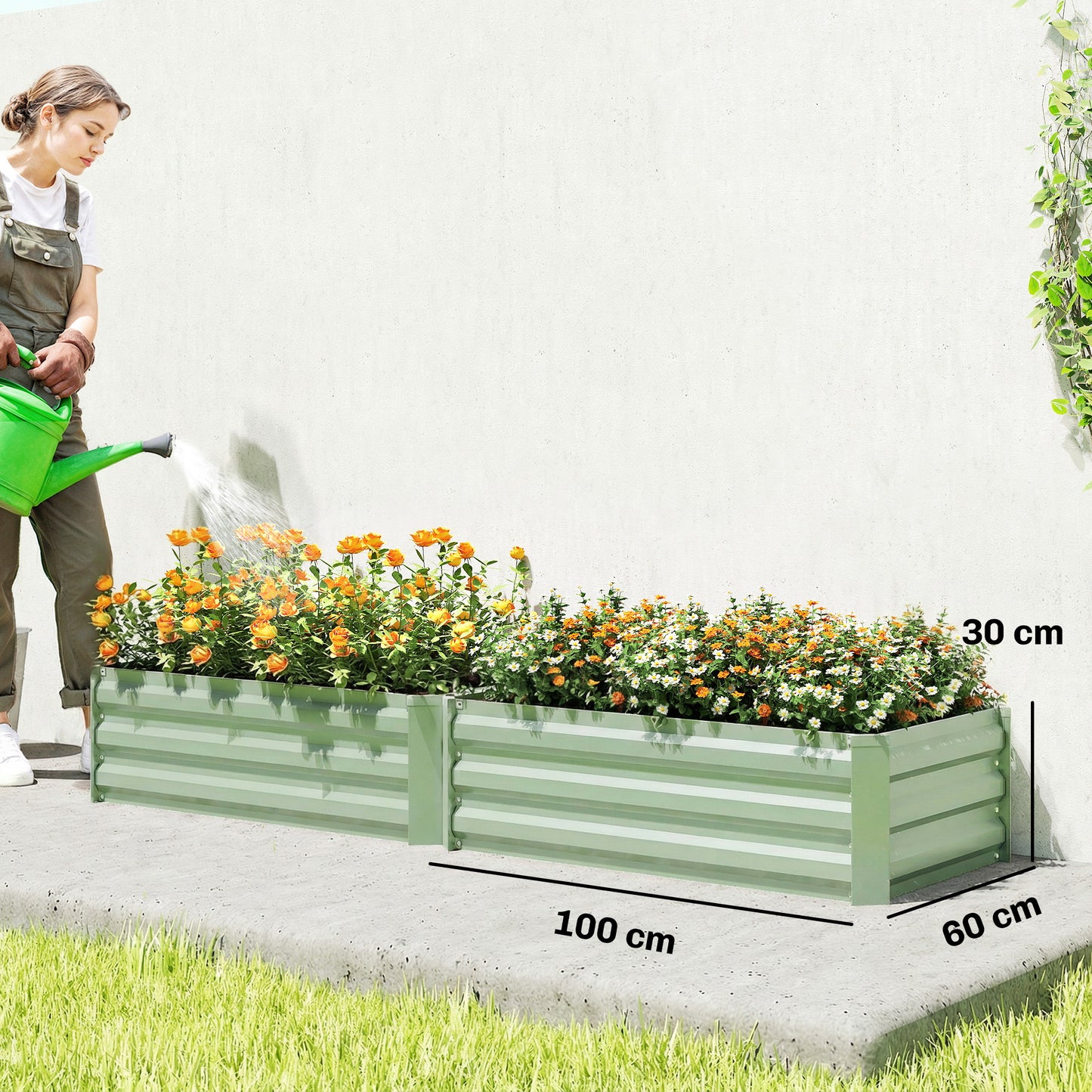 Set of Two 100 x 60cm Steel Planter Boxes (2)