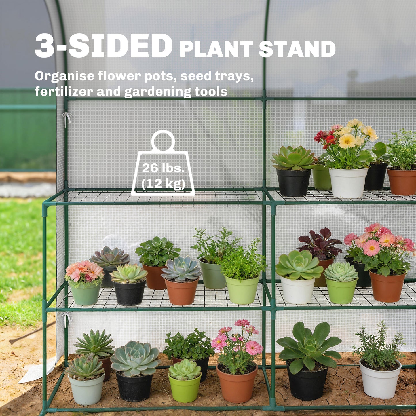 Walk-in Greenhouse with Shelves