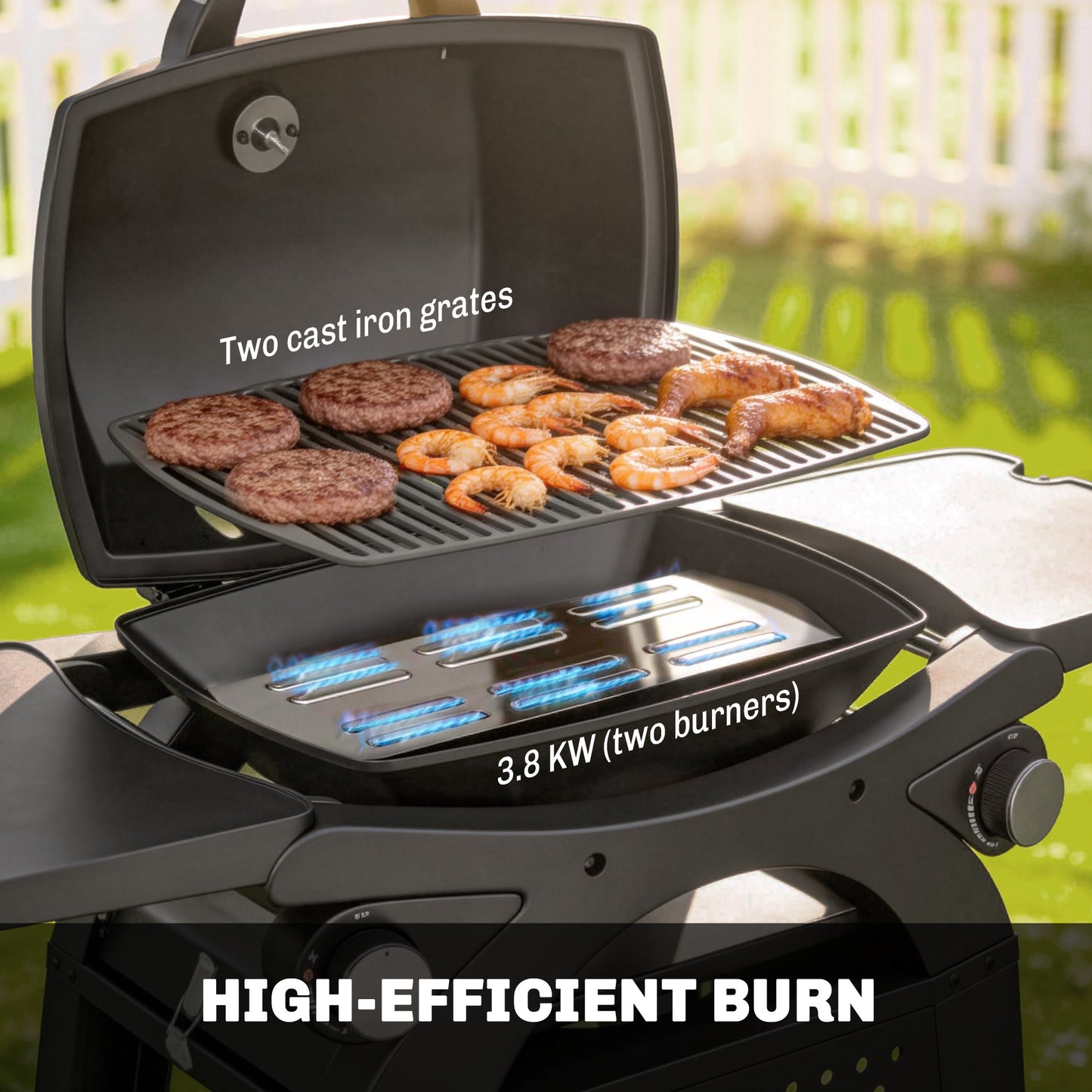 2 Burner Gas Grill with 2 Side Tables