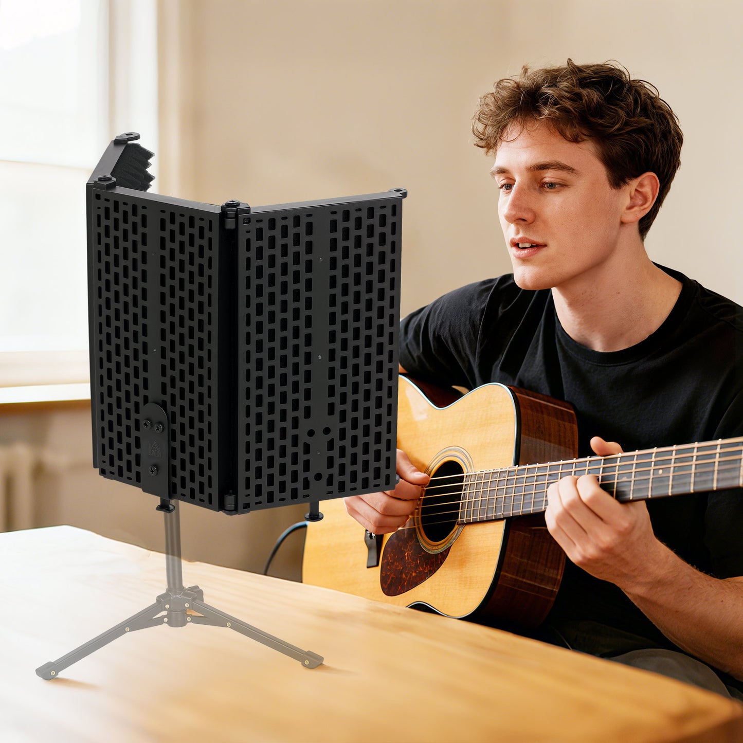 Studio Microphone Isolation Shield