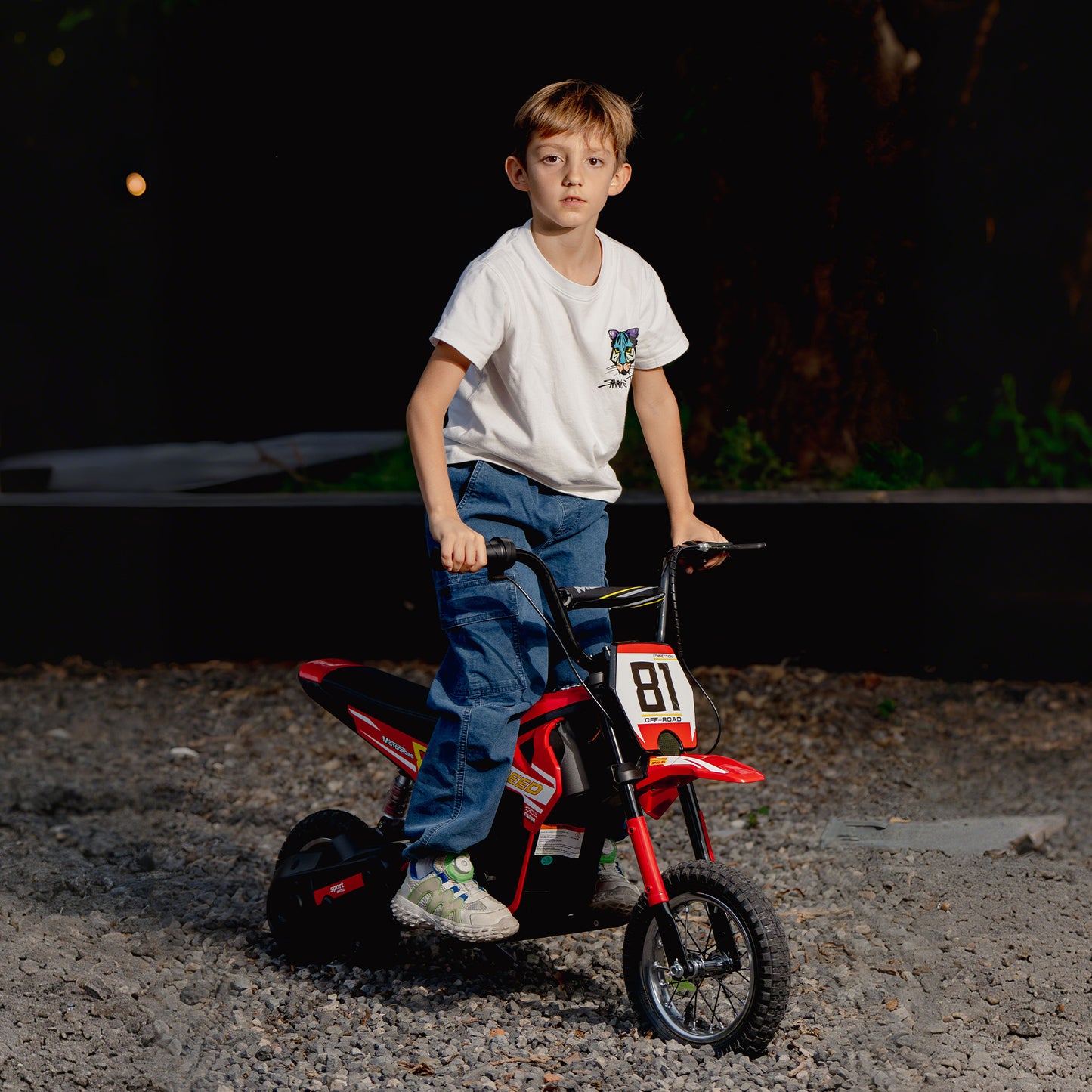 Kids Electric Motorbike 3 Gearboxes Speed Ride on Motorcycle
