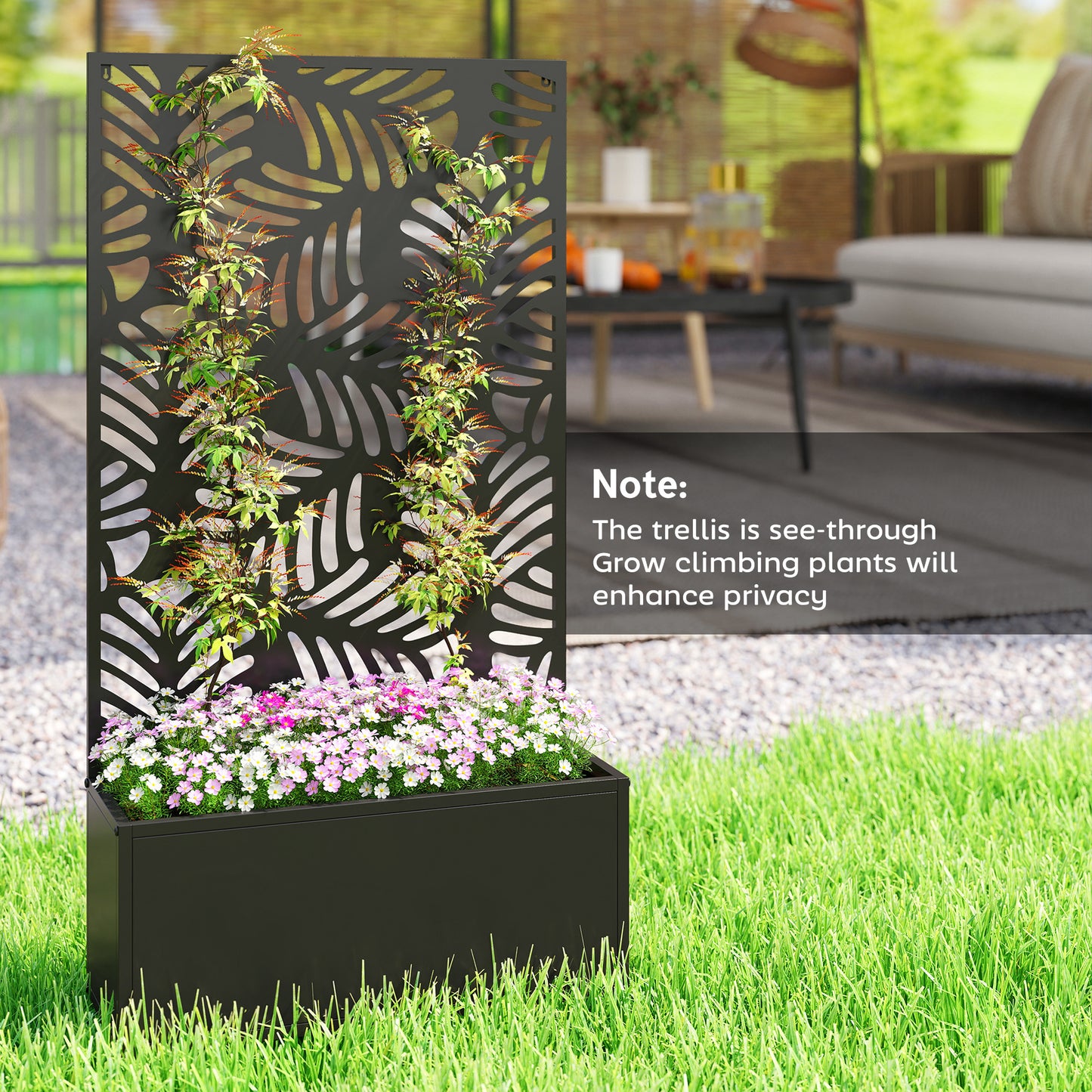 Metal Garden Bed for Garden with Trellis (1)