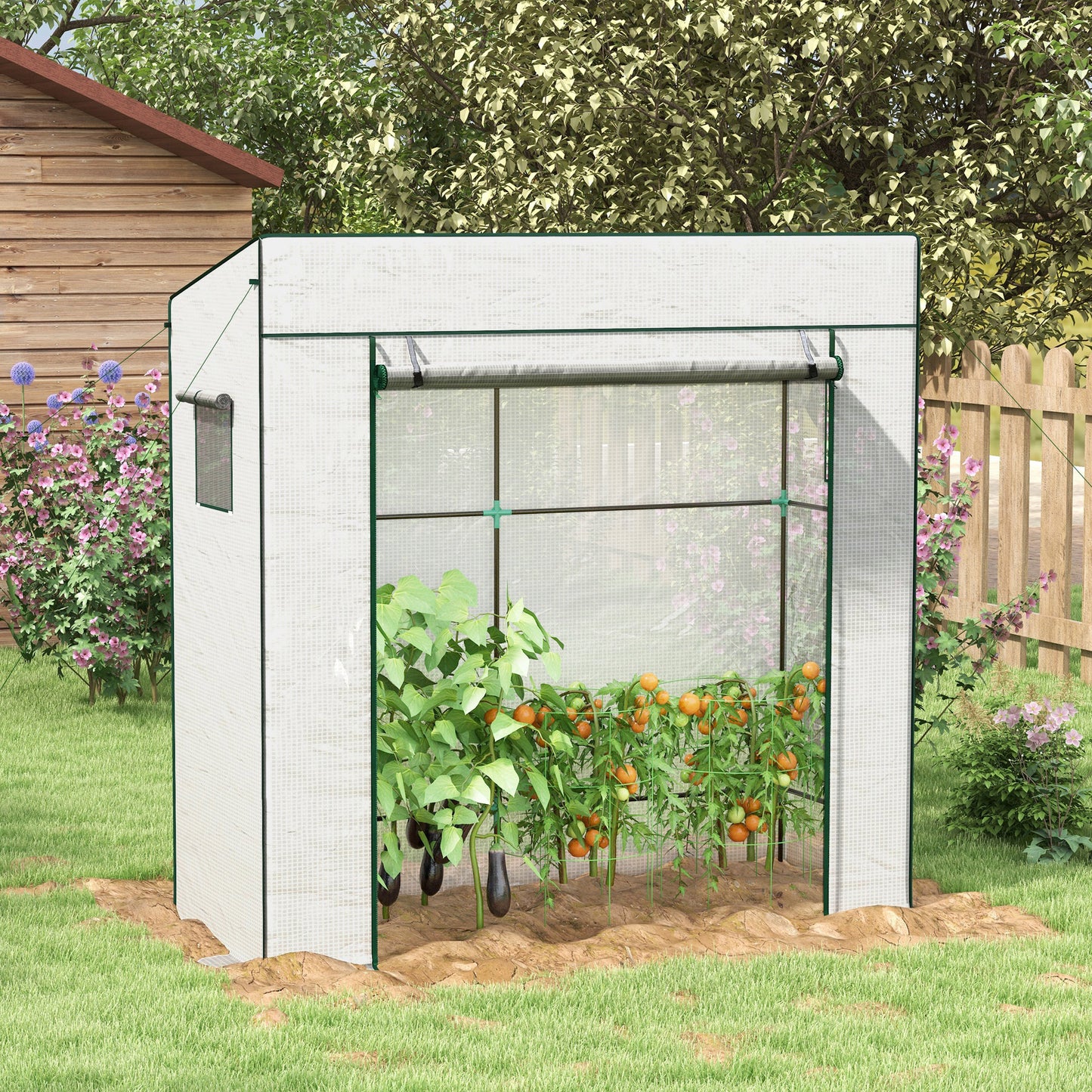 PE Cover Walk-in Outdoor Greenhouse