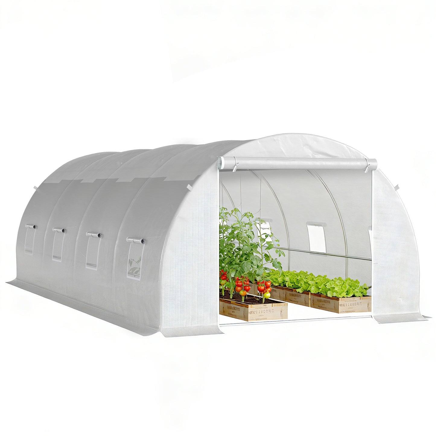 Poly Tunnel for Garden, Walk-in Polytunnel with Door