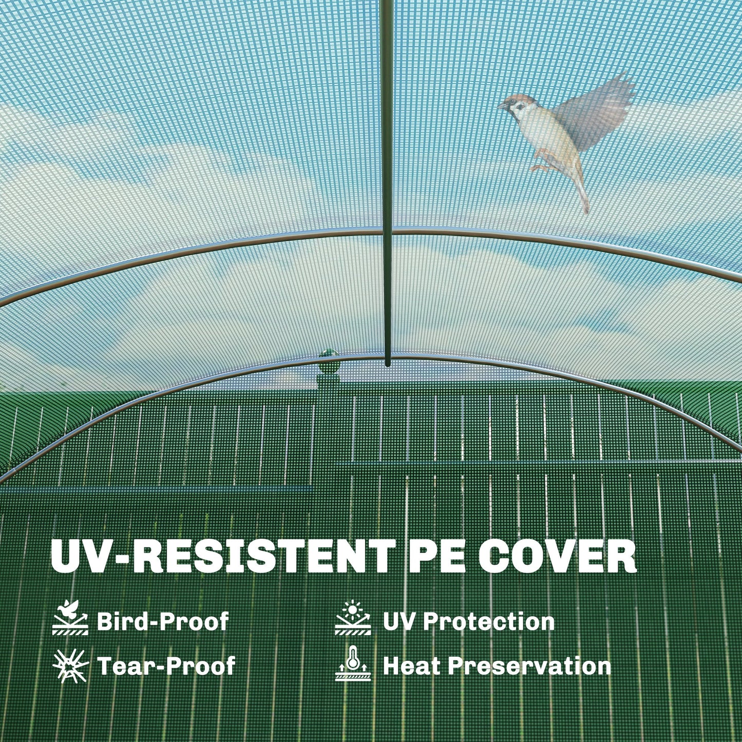 19 x 9.8ft Walk-In Polytunnel Greenhouse
