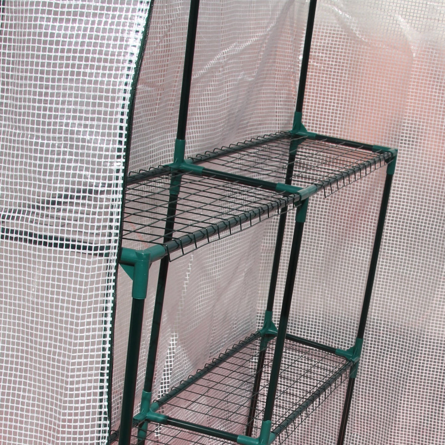 Walk In Greenhouse with 2 Tier Shelf (1)