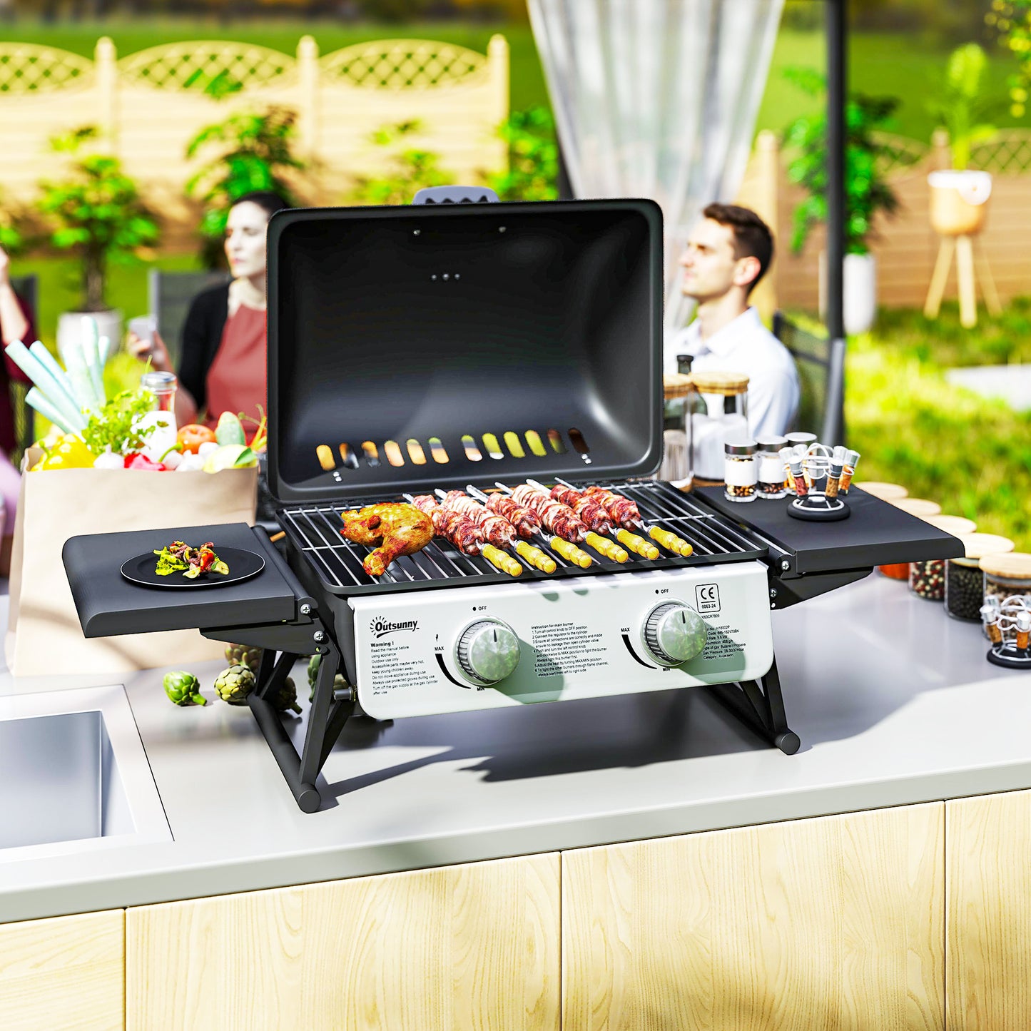 Two-Burner Compact Gas Grill