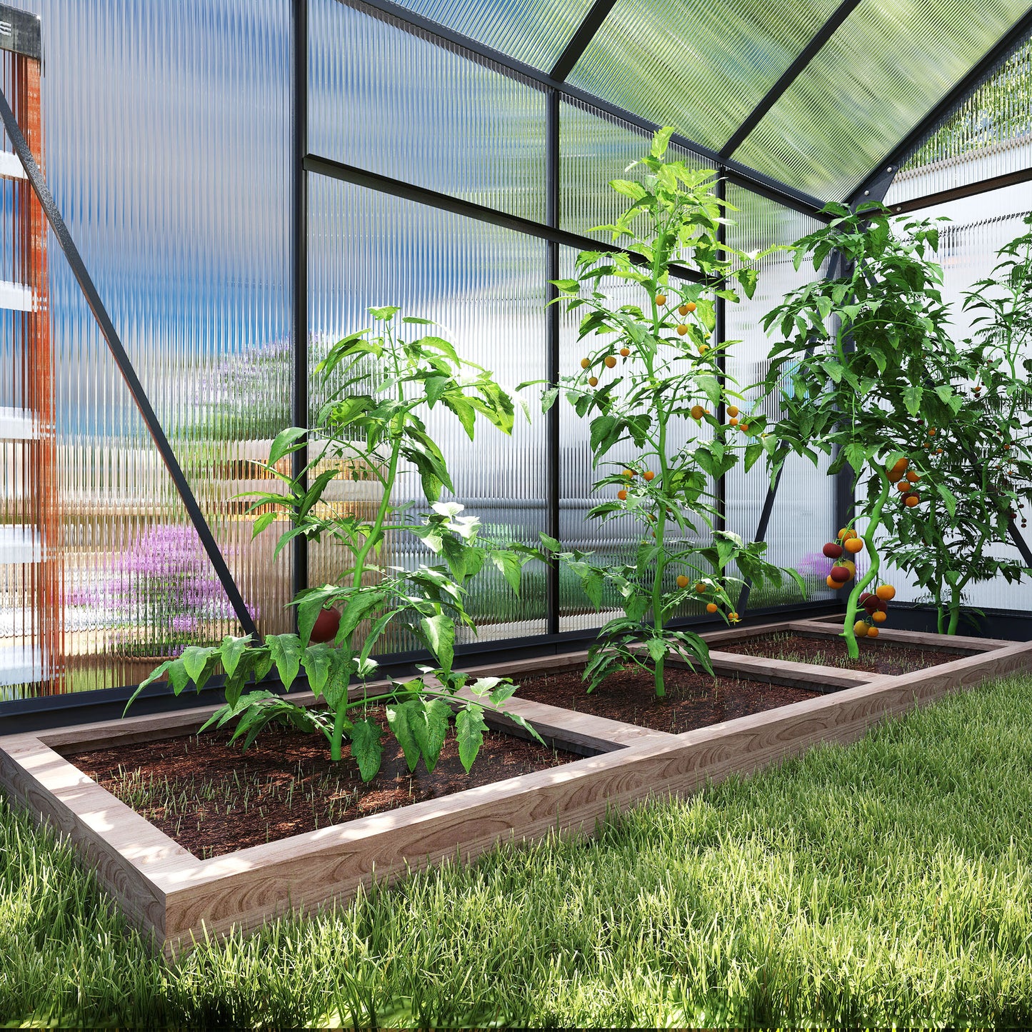 6 x 8ft Polycarbonate Greenhouse (1)