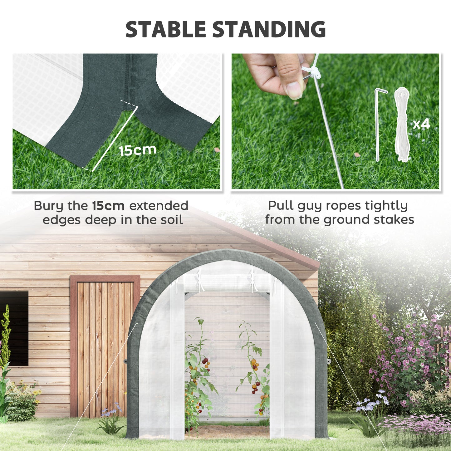 3 x 2(m) Walk-In Tunnel Greenhouse, with Accessories