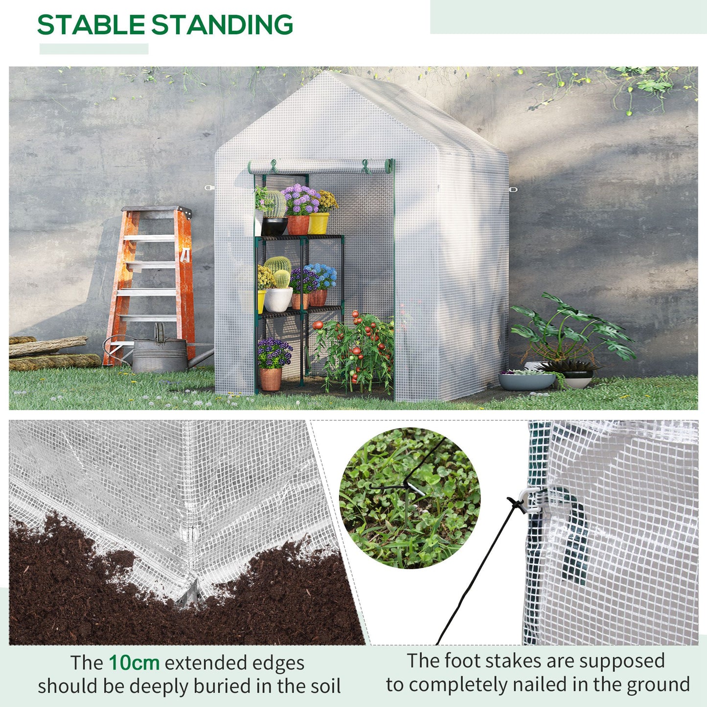 Walk In Greenhouse with 2 Tier Shelf (1)