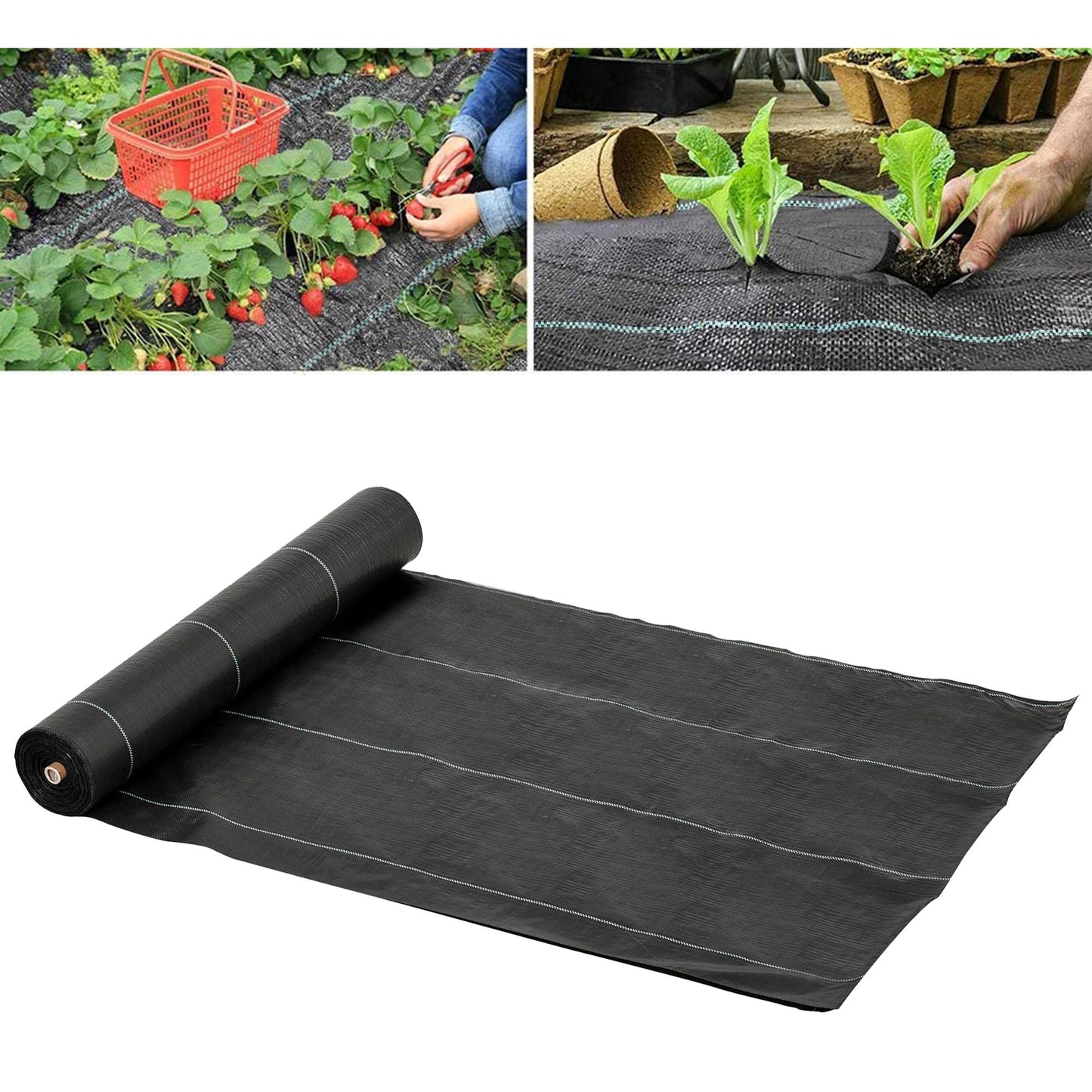 2m x 50m Weed Control Membrane
