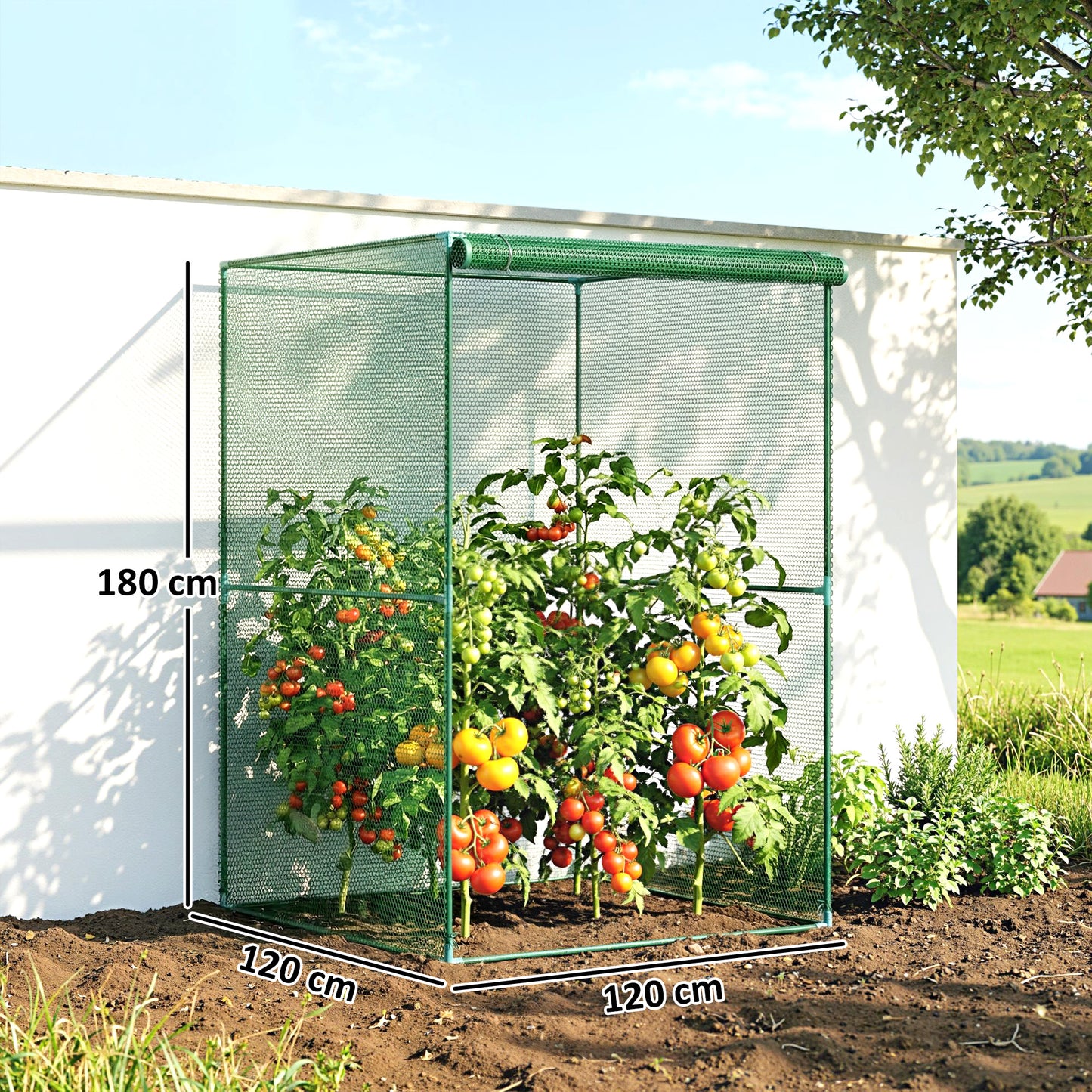120 x 120cm Compact Plant Cage, with Netting