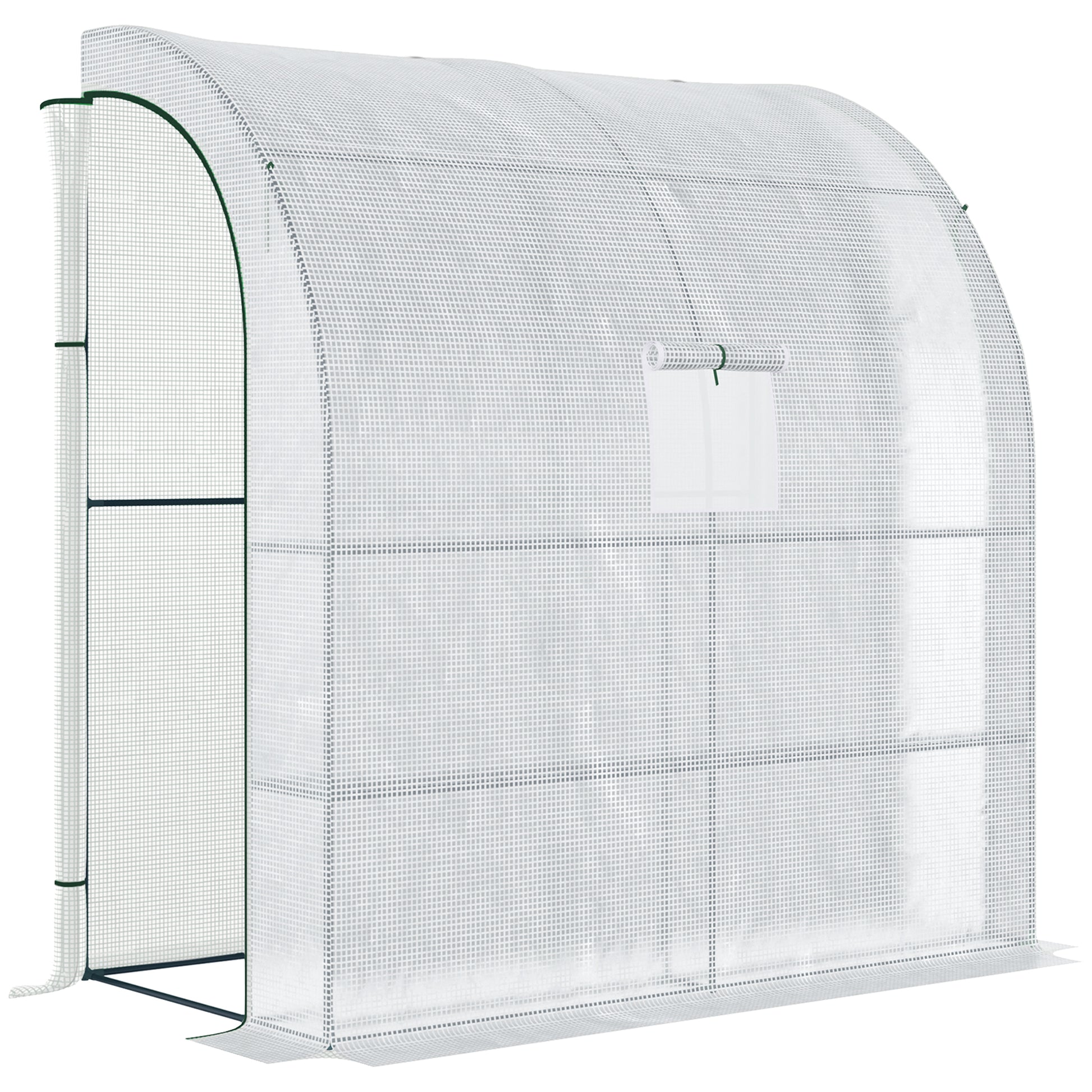 Walk-In Lean to Wall Greenhouse with Windows and Doors