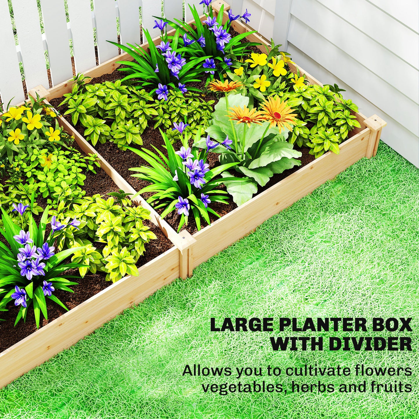 Raised Garden Bed, Wooden Planter Box with Divider and Open Bottom
