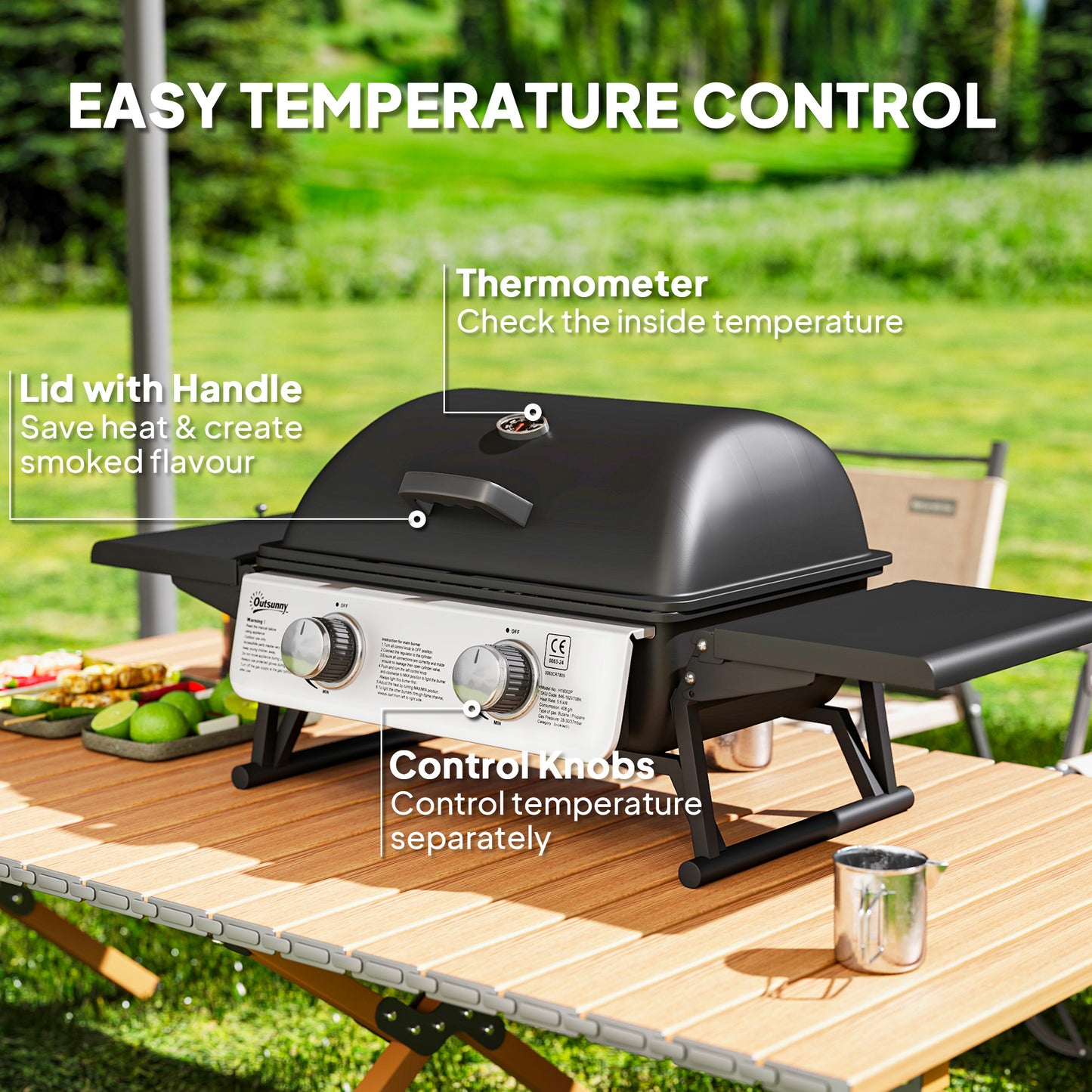 Two-Burner Compact Gas Grill