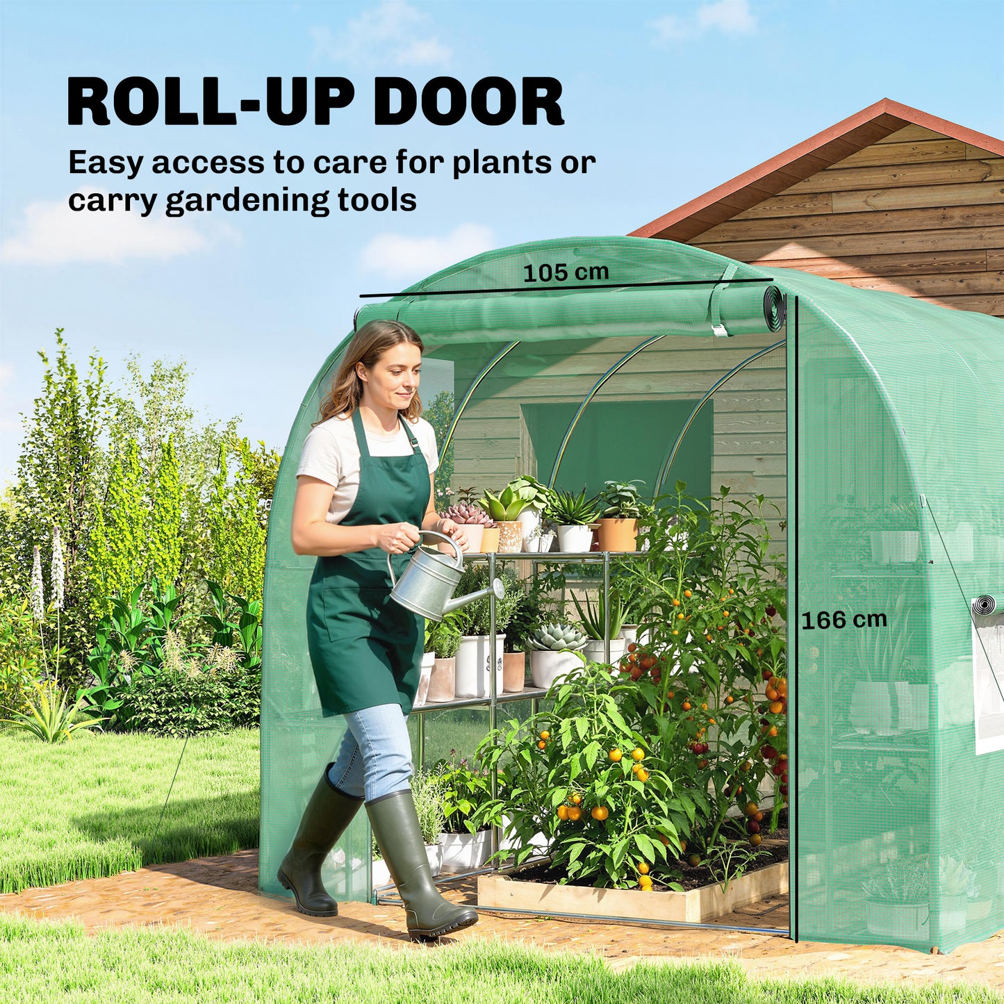 Walk-in Greenhouse with Shelves (1)