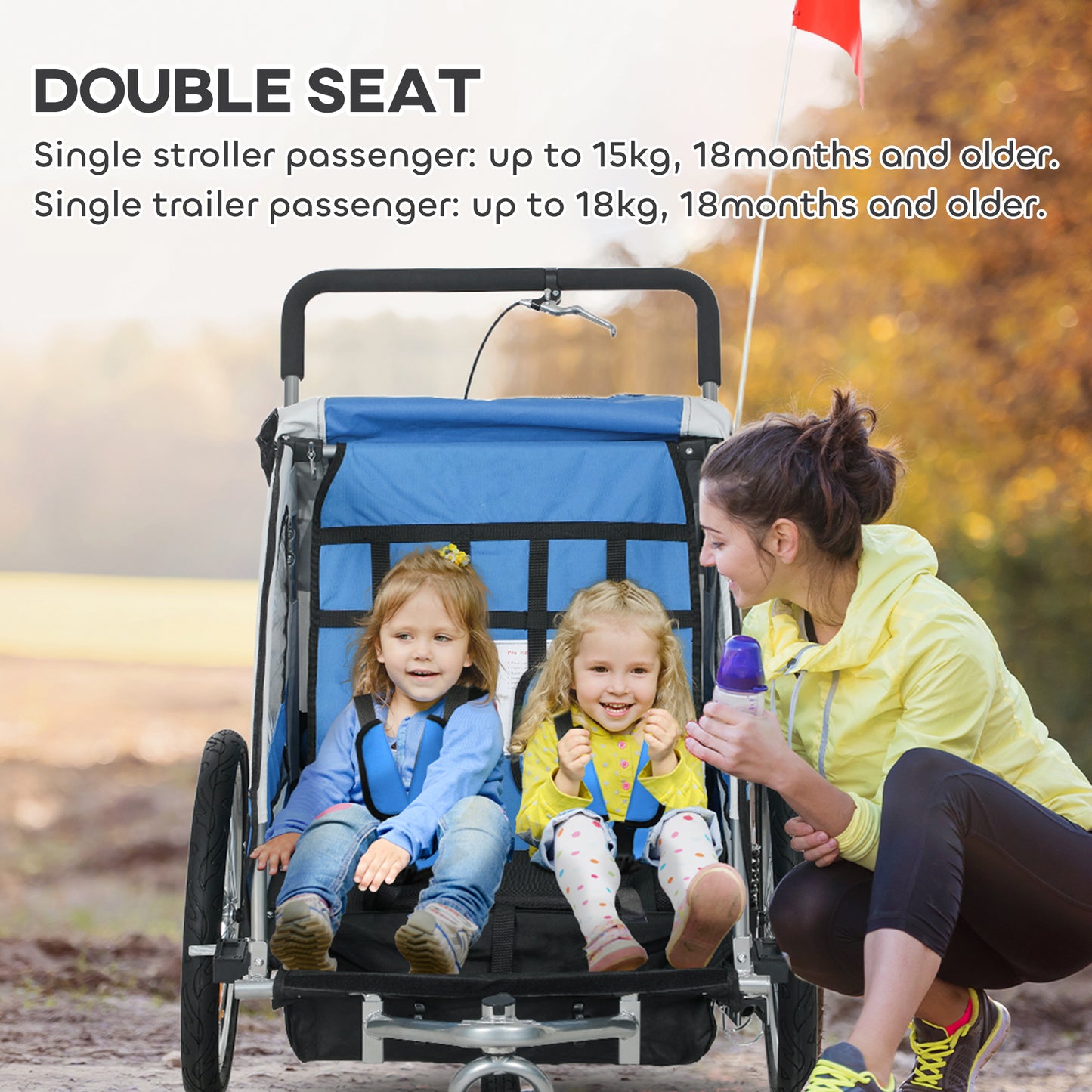 2 Seat Bike Trailer with 5 Point Harness