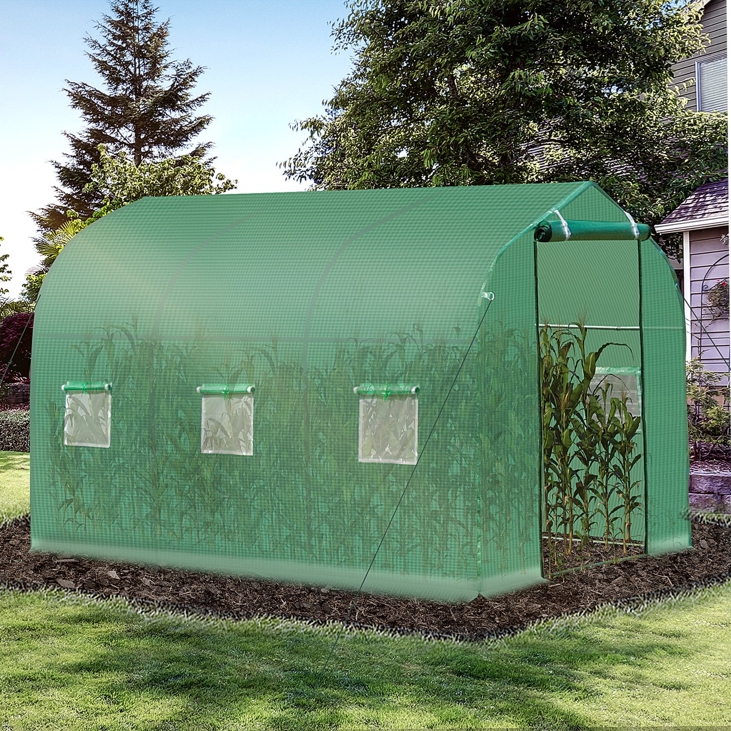Polytunnel Greenhouse with Windows and Door (2)