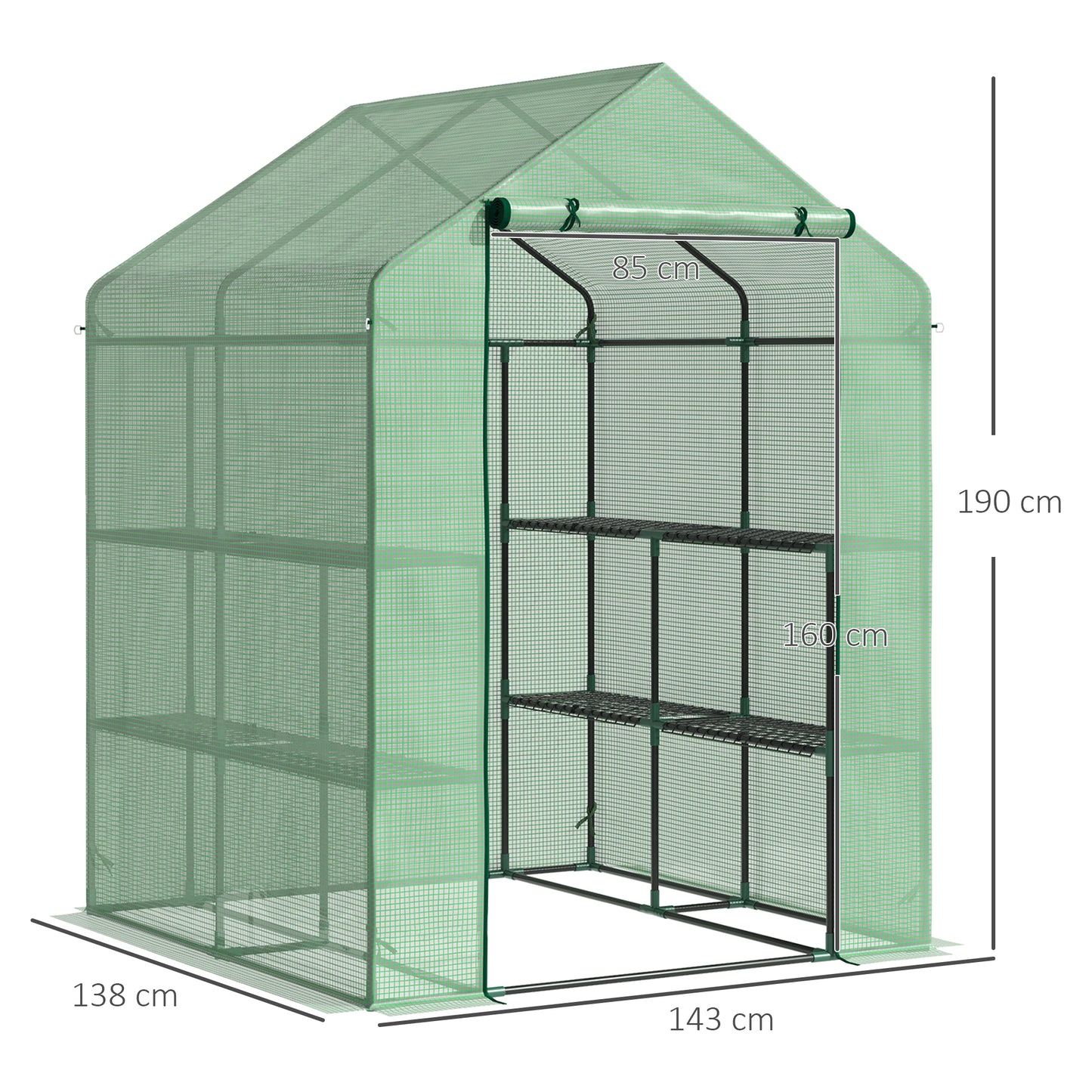 Walk in Greenhouse with Shelves Steeple Green House