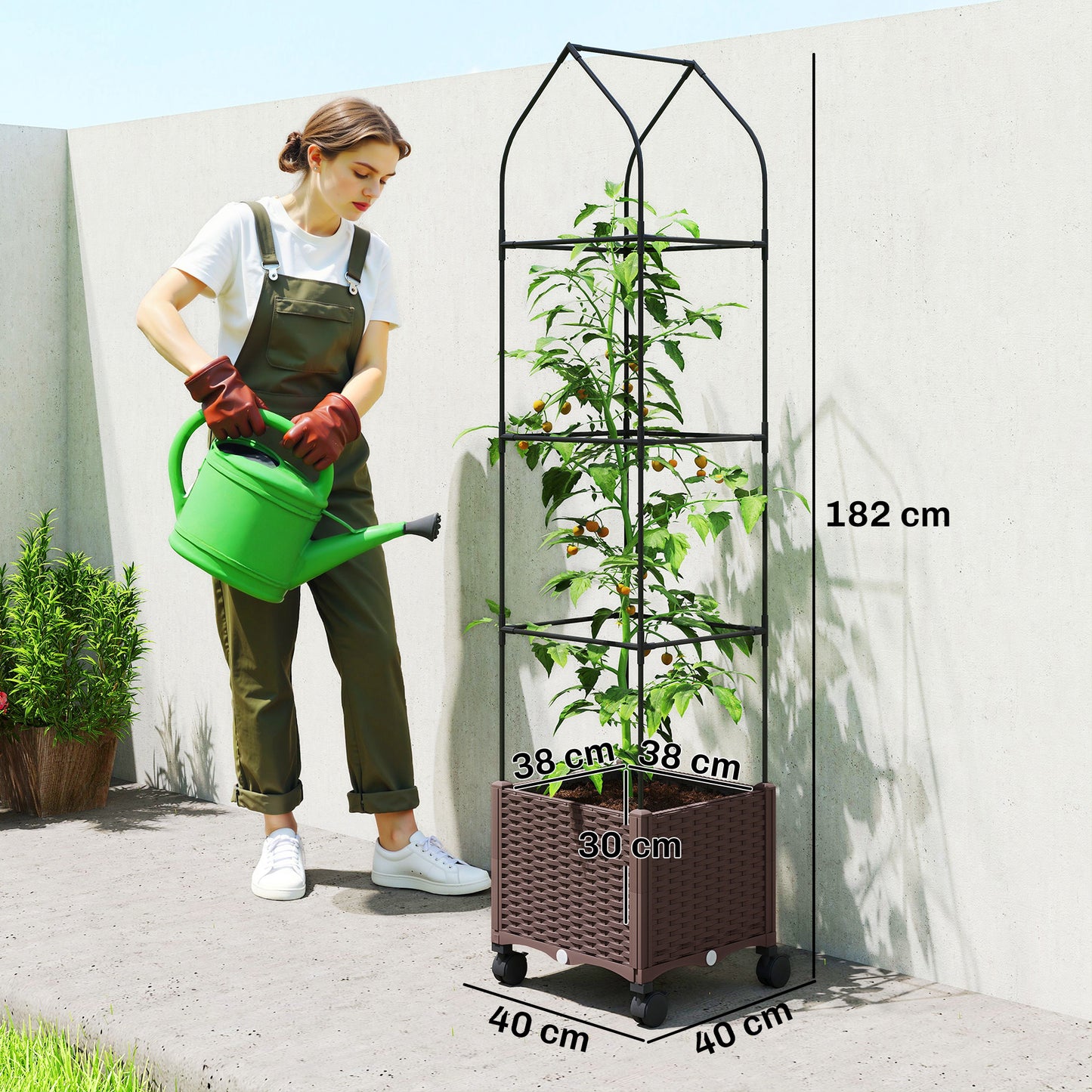 Raised Garden Bed with Trellis, Tomato Cage with Lockable Wheels