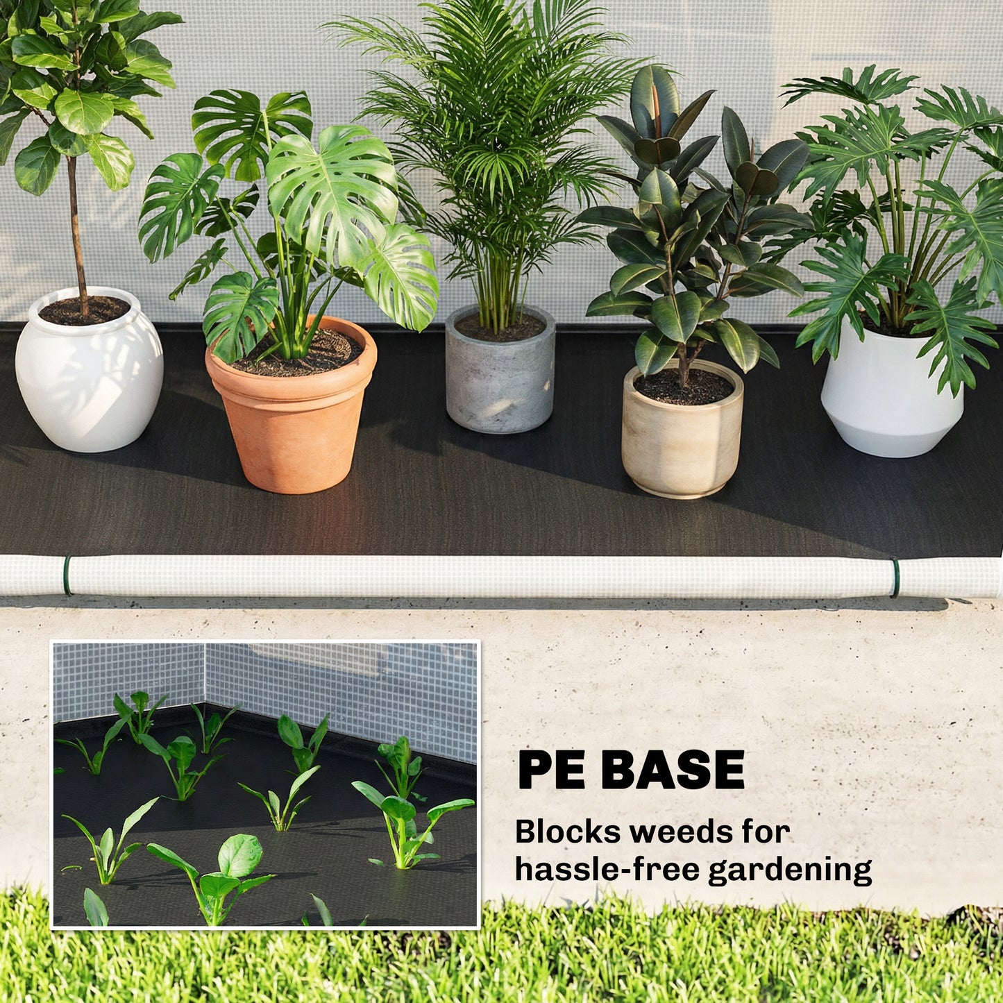 Foldable Small Greenhouse, Portable Green House Mini Greenhouse