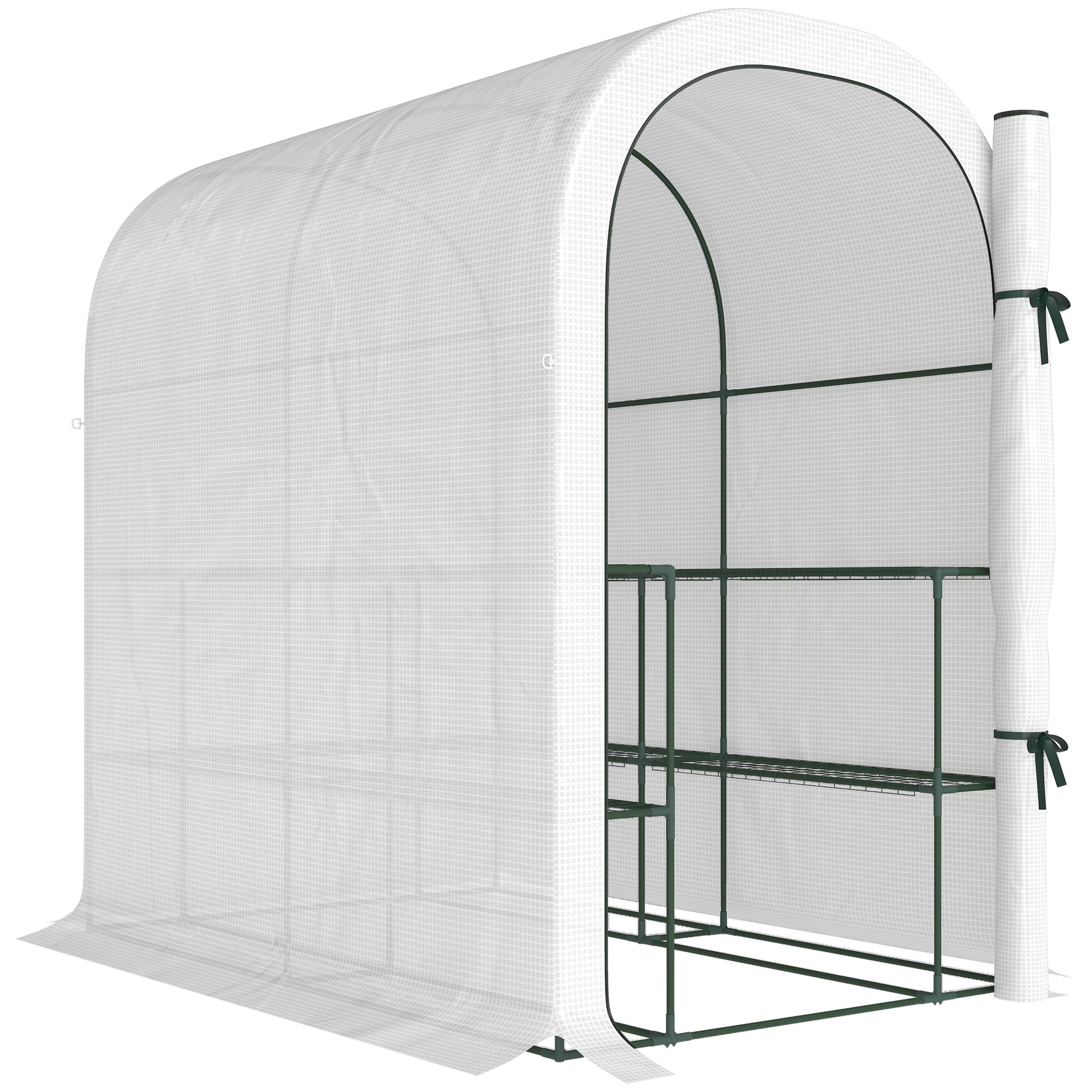 Walk-in Greenhouse with Shelves