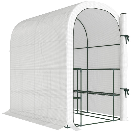Walk-in Greenhouse with Shelves