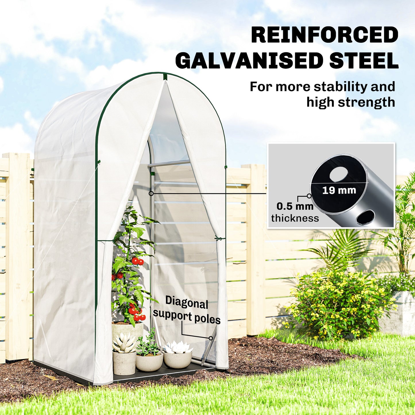 Mini Greenhouse, Portable Green House with Roll-Up Door, PE Base