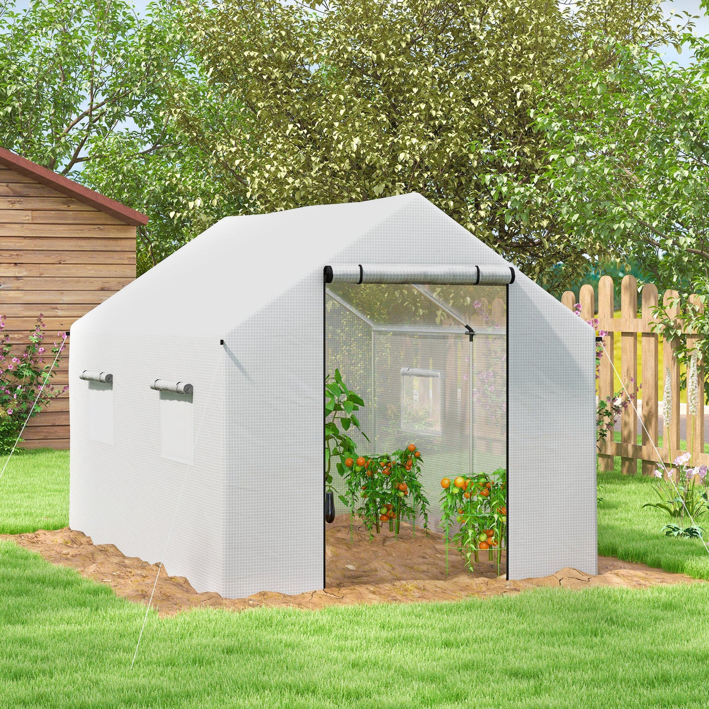 Polyethylene Walk-in Polytunnel Greenhouse with Roll-up door