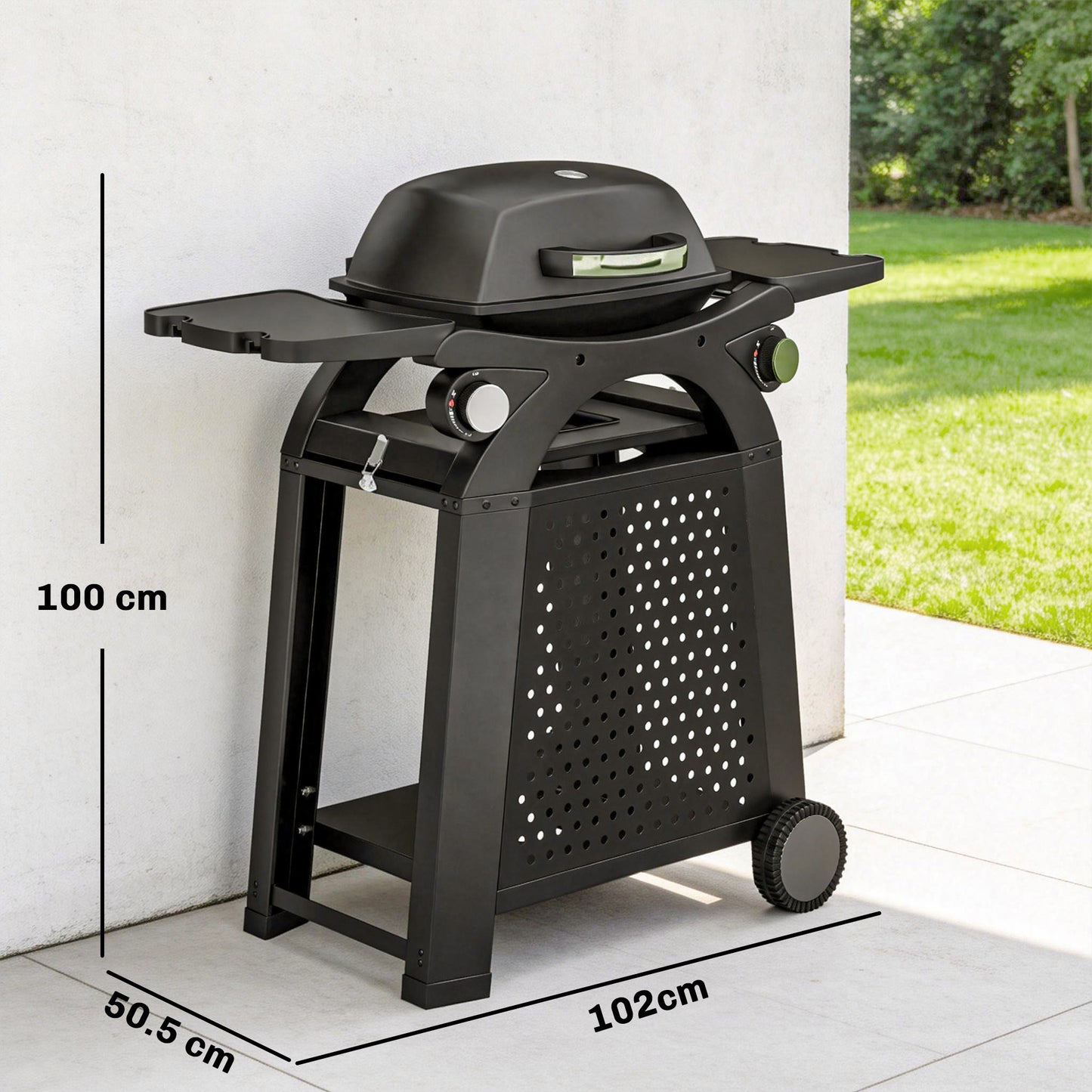 2 Burner Gas Grill with 2 Side Tables