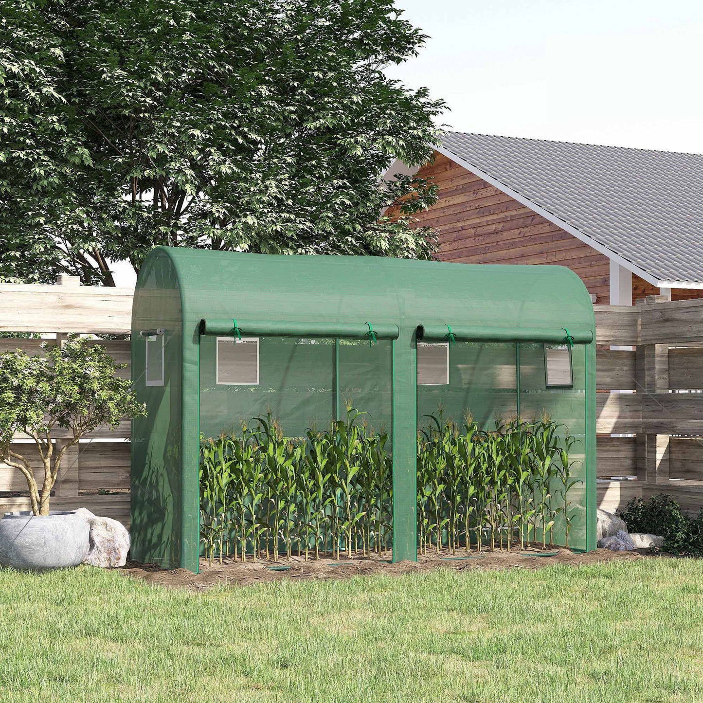 Walk-in Greenhouse, Tomato Greenhouse with Double Doors & 4 Windows
