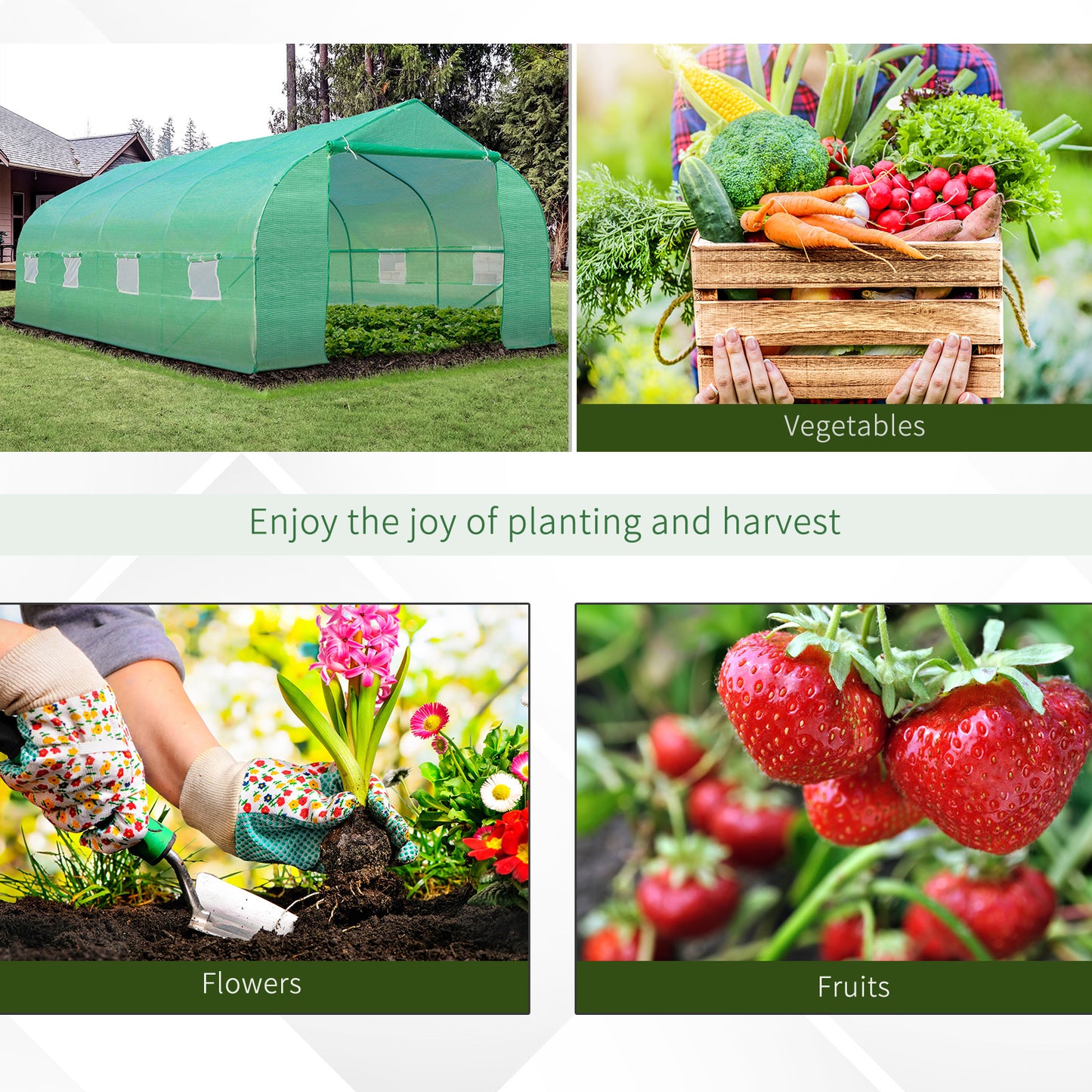 Polytunnel Greenhouse with Windows and Door (1)