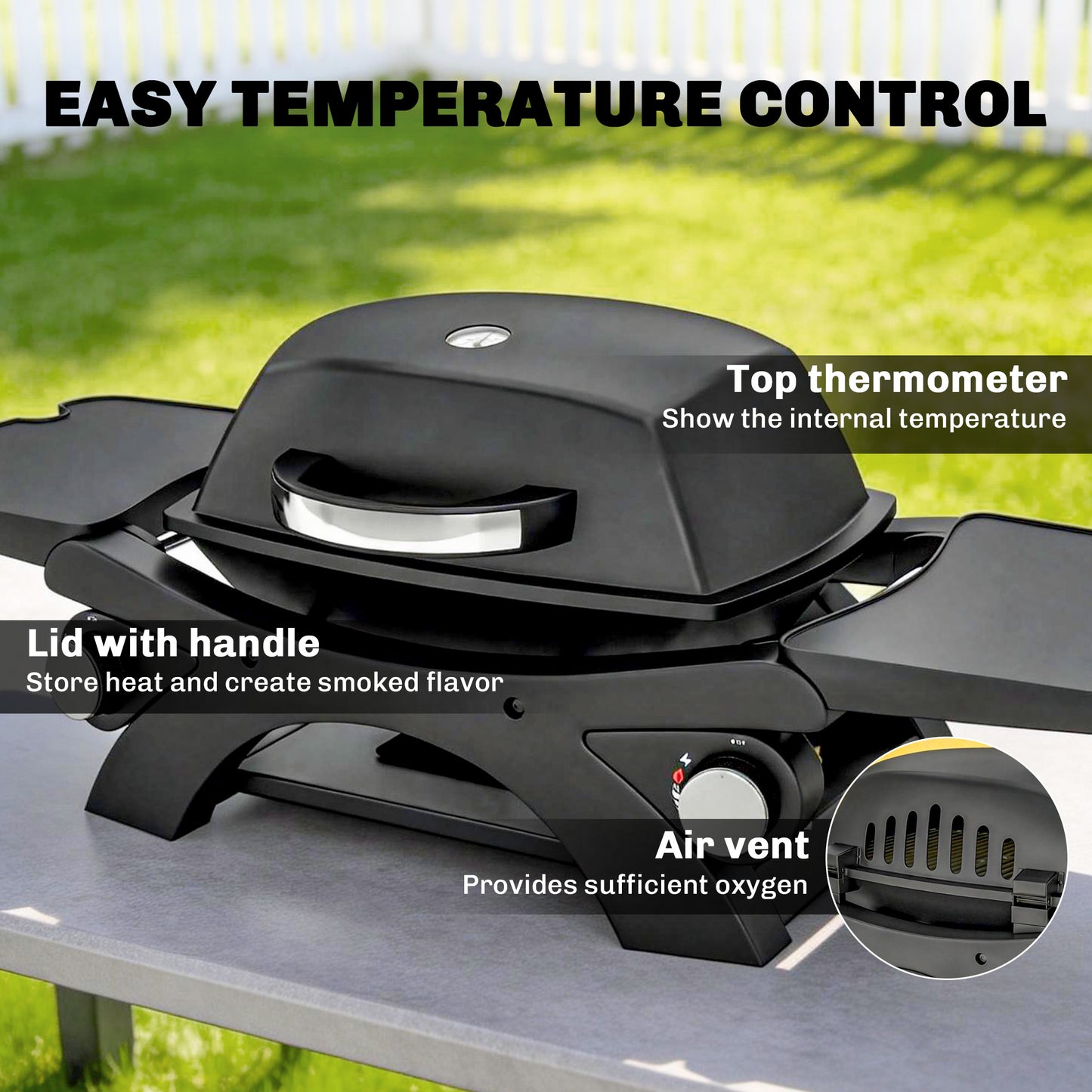 2 Burner Gas Grill with 2 Detachable Side Tables