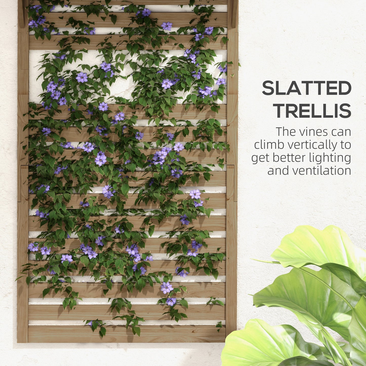 Wall Mounted Plant Stands Set of 2