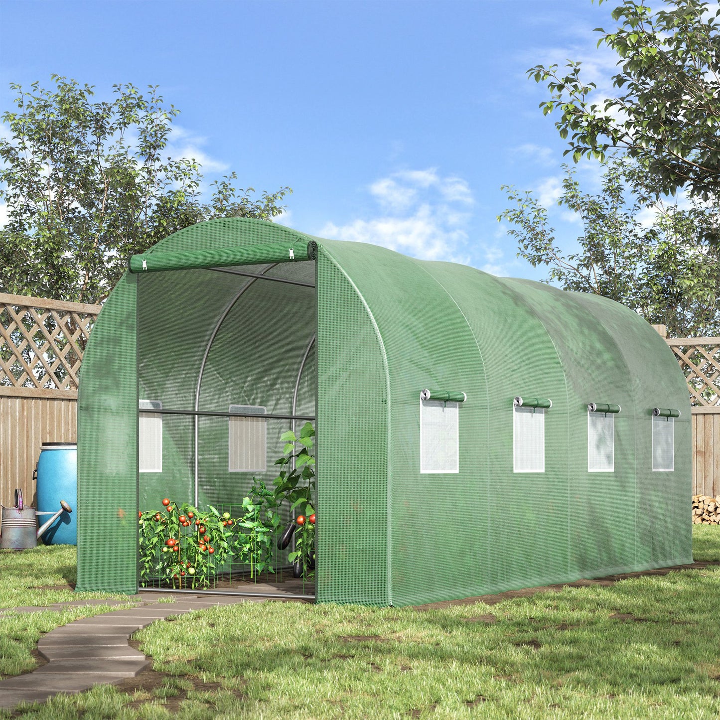 Walk-in Polytunnel Greenhouse